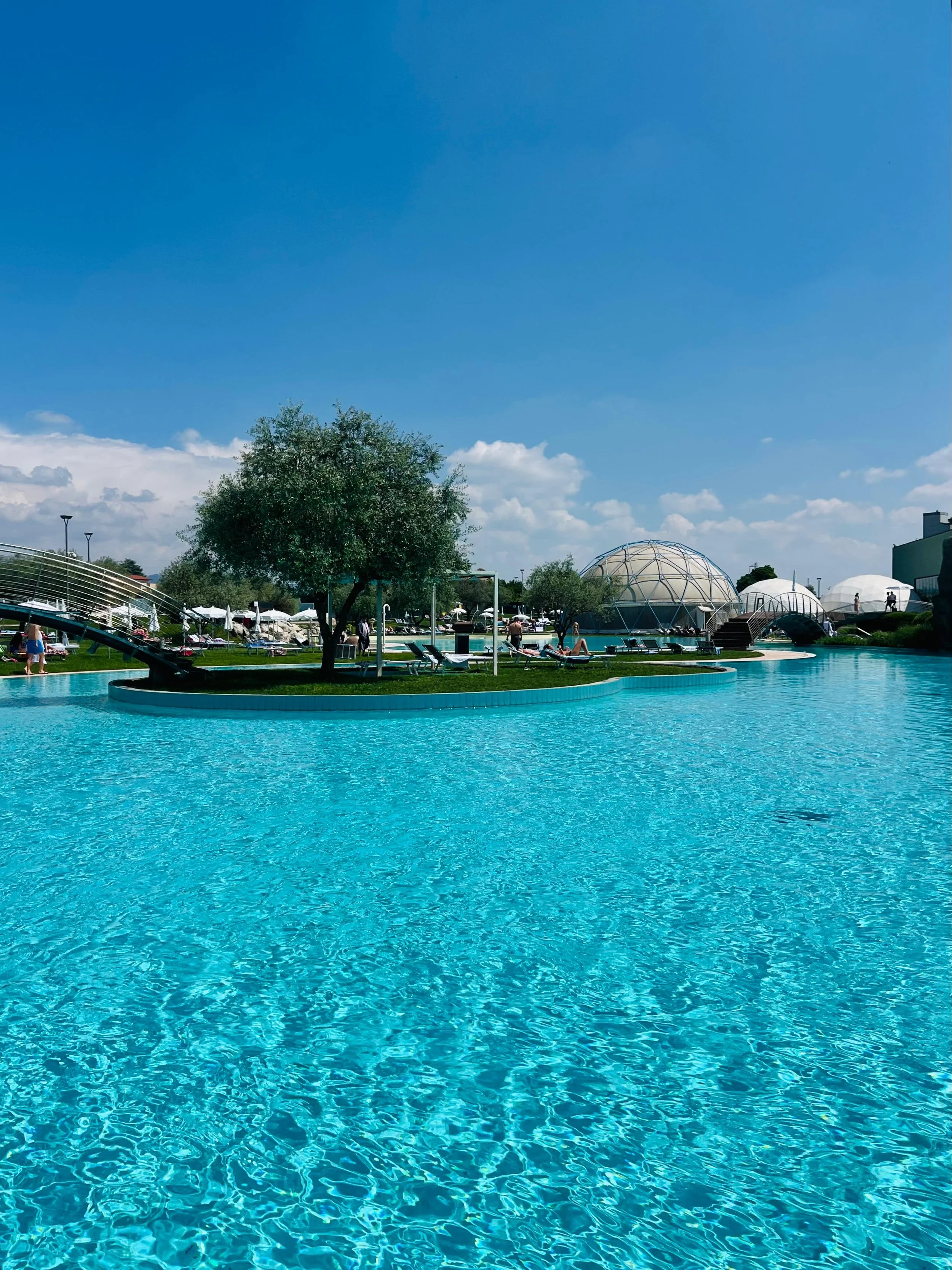 WhatsApp Image 2026-01-13 at 14.55.19 (1).jpeg