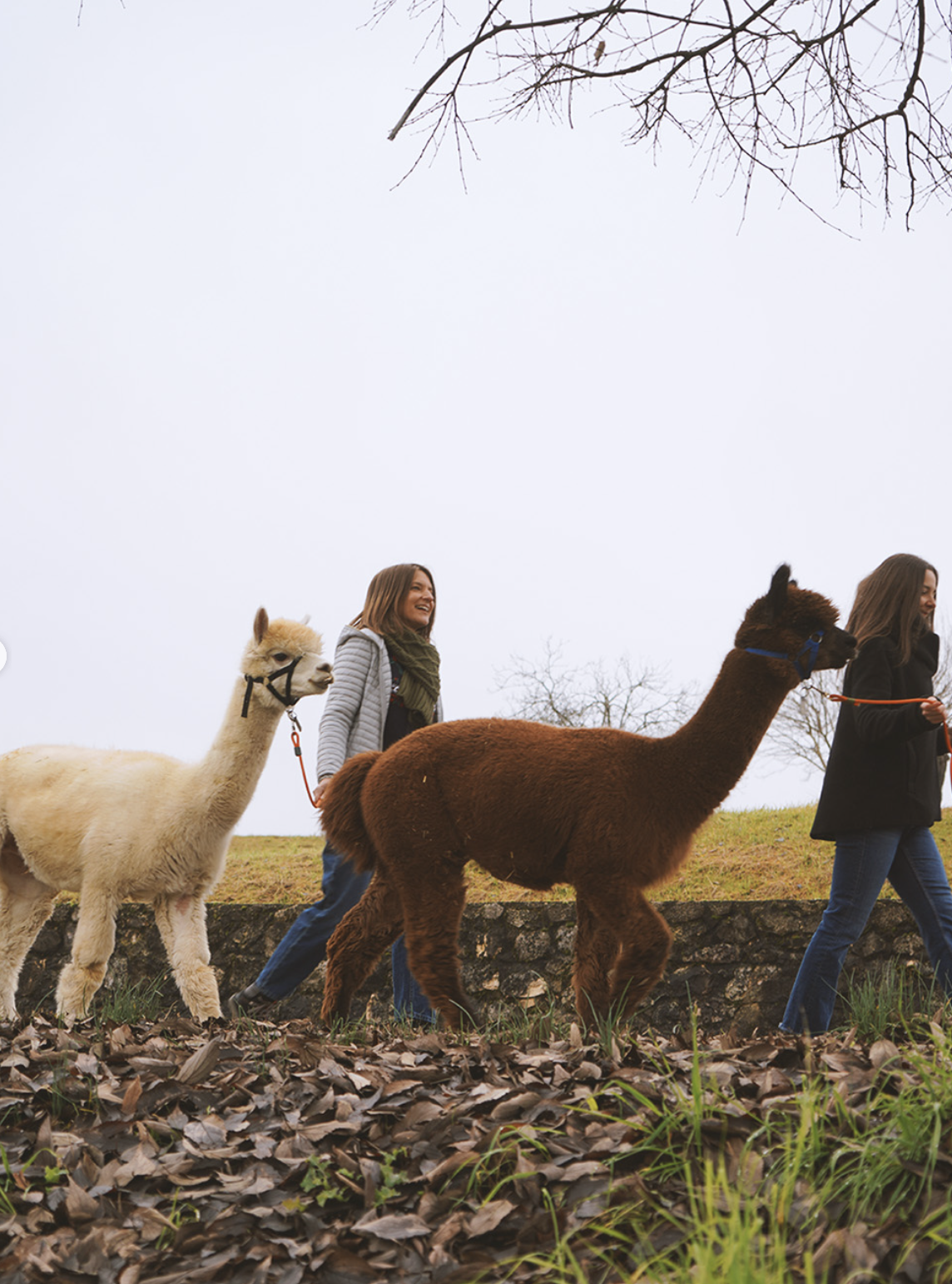 Screen Shot 2026-01-20 at 20.47.51.png