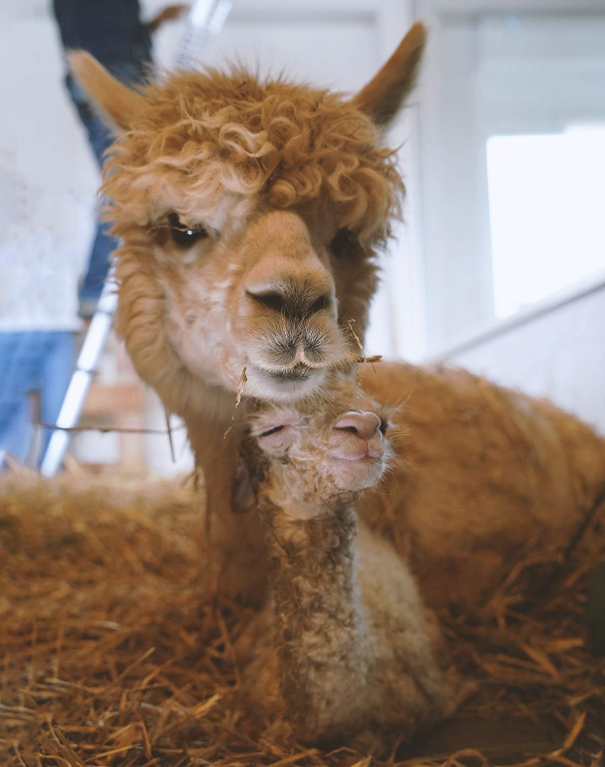 Screen Shot 2026-01-20 at 20.46.32.png