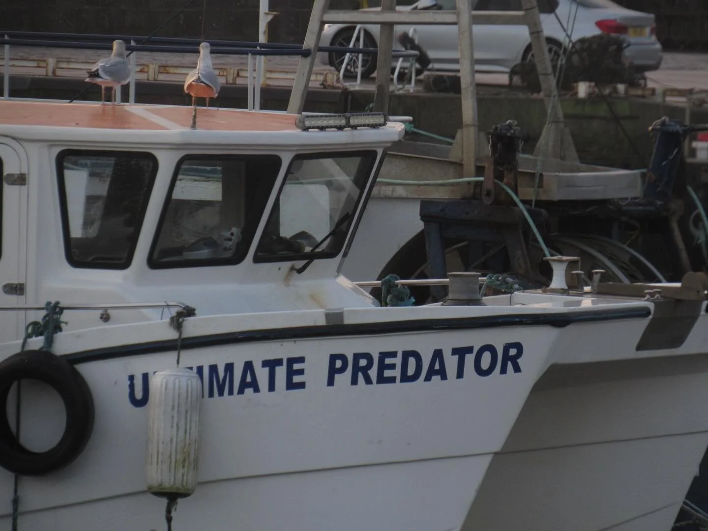 My final post of 2025 i want to dedicate to the @hospitalfield graduate residency i was over the moon to join earlier this month 😺

from watching boats to visiting pleasureland
lurking on the beach and picking up as much marine crap as i could find 