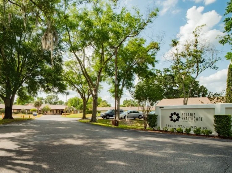 solaris forest lake.jpg