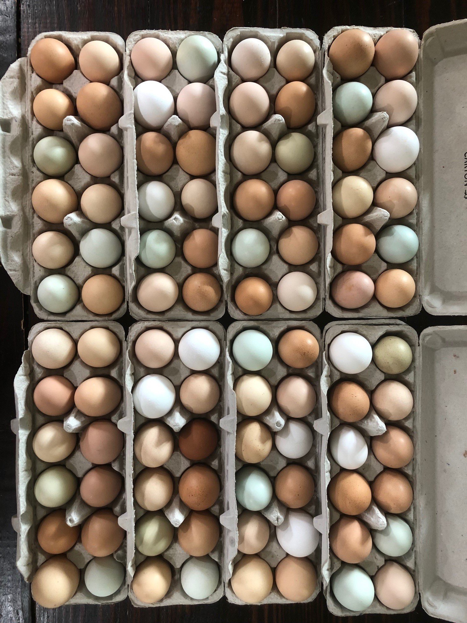 Pasture Raised Eggs