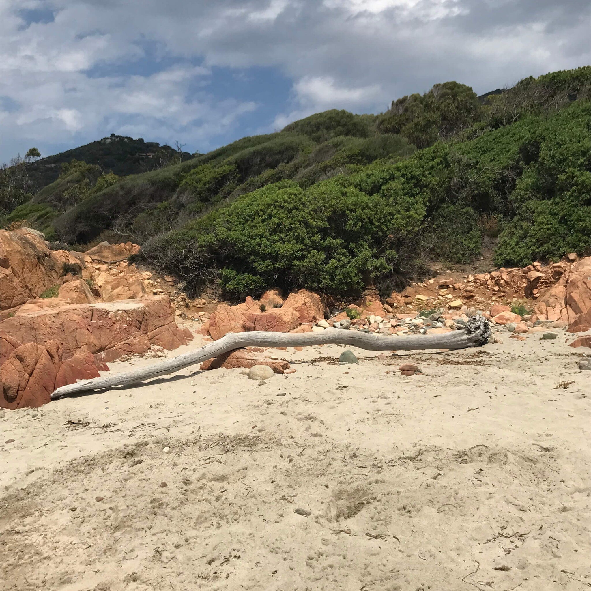 Avant que l'hiver s'installe d&eacute;finitivement, on se ressource en pensant aux belles plages Corses et leurs bois &eacute;chou&eacute;s qui ne demandent qu'&agrave; avoir une seconde vie. 🤎