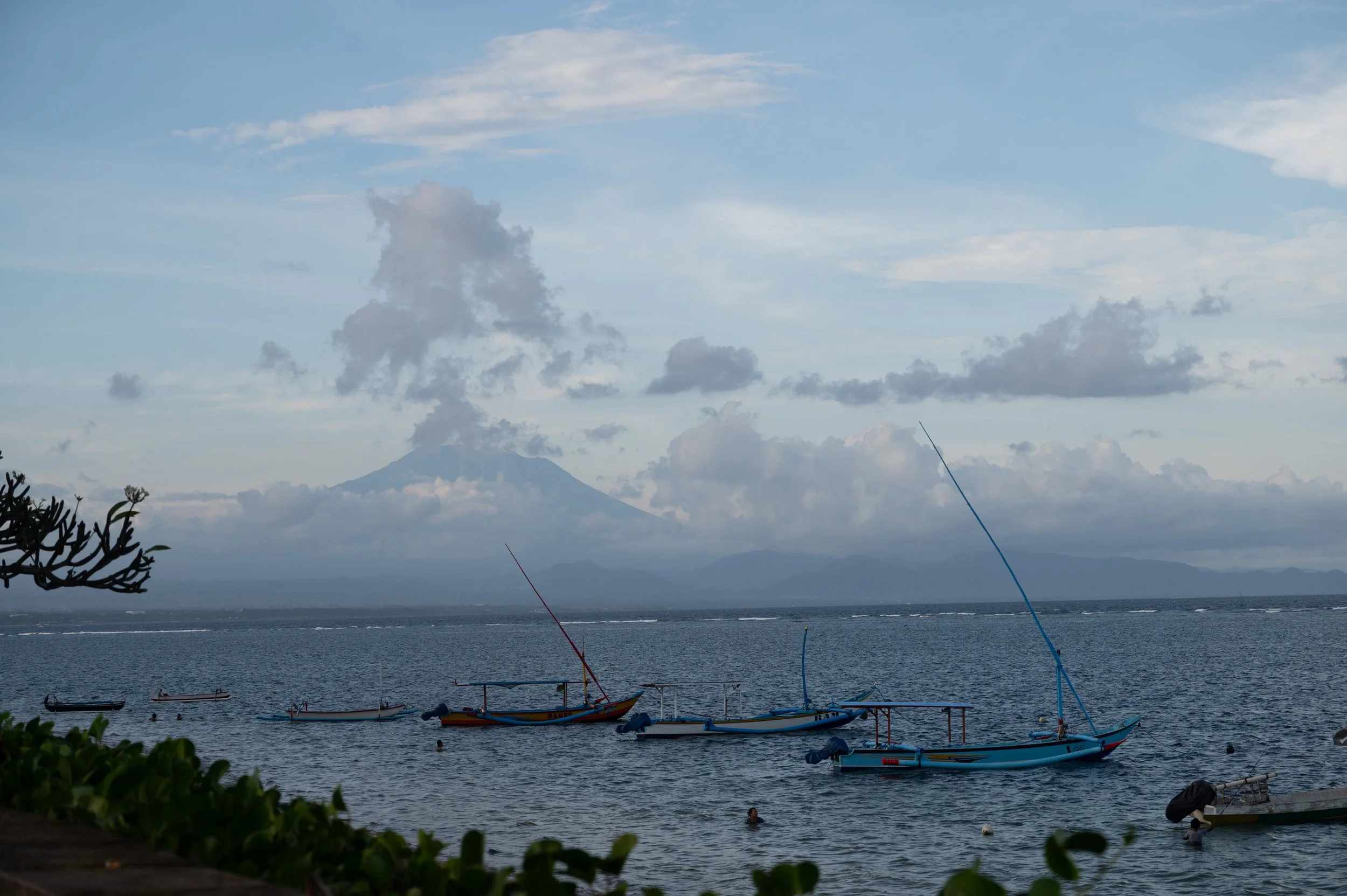 DSC_2006.jpg
