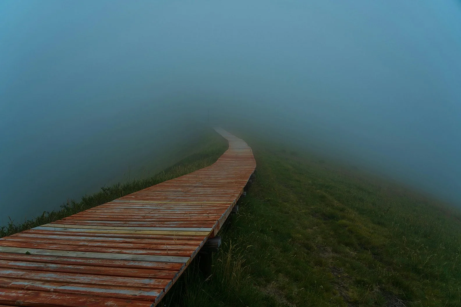 How to Step Into God’s Perfect Will