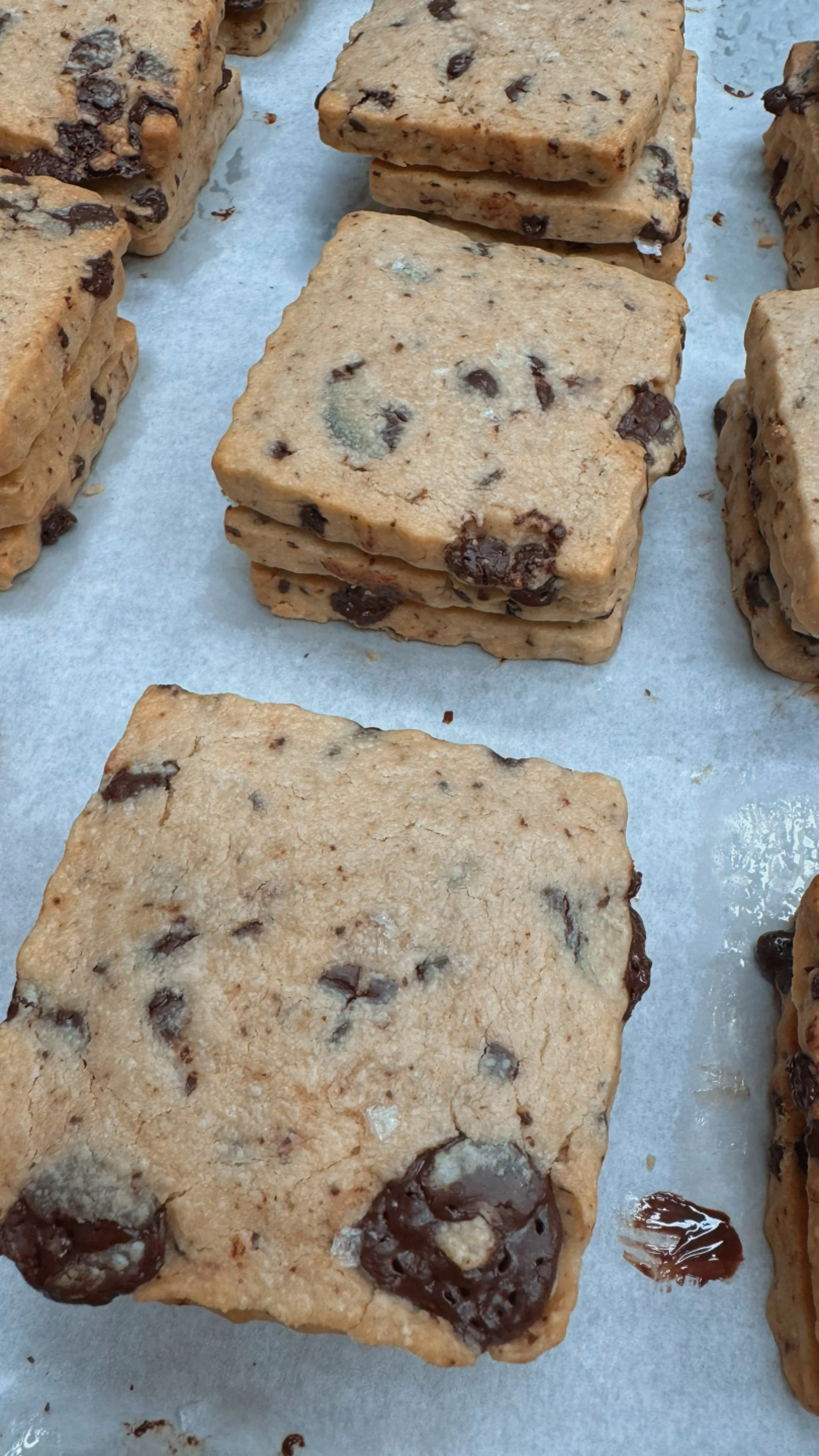 Box of 6 Dark Chocolate Chip and Henlopen Sea Salt Shortbread Cookies