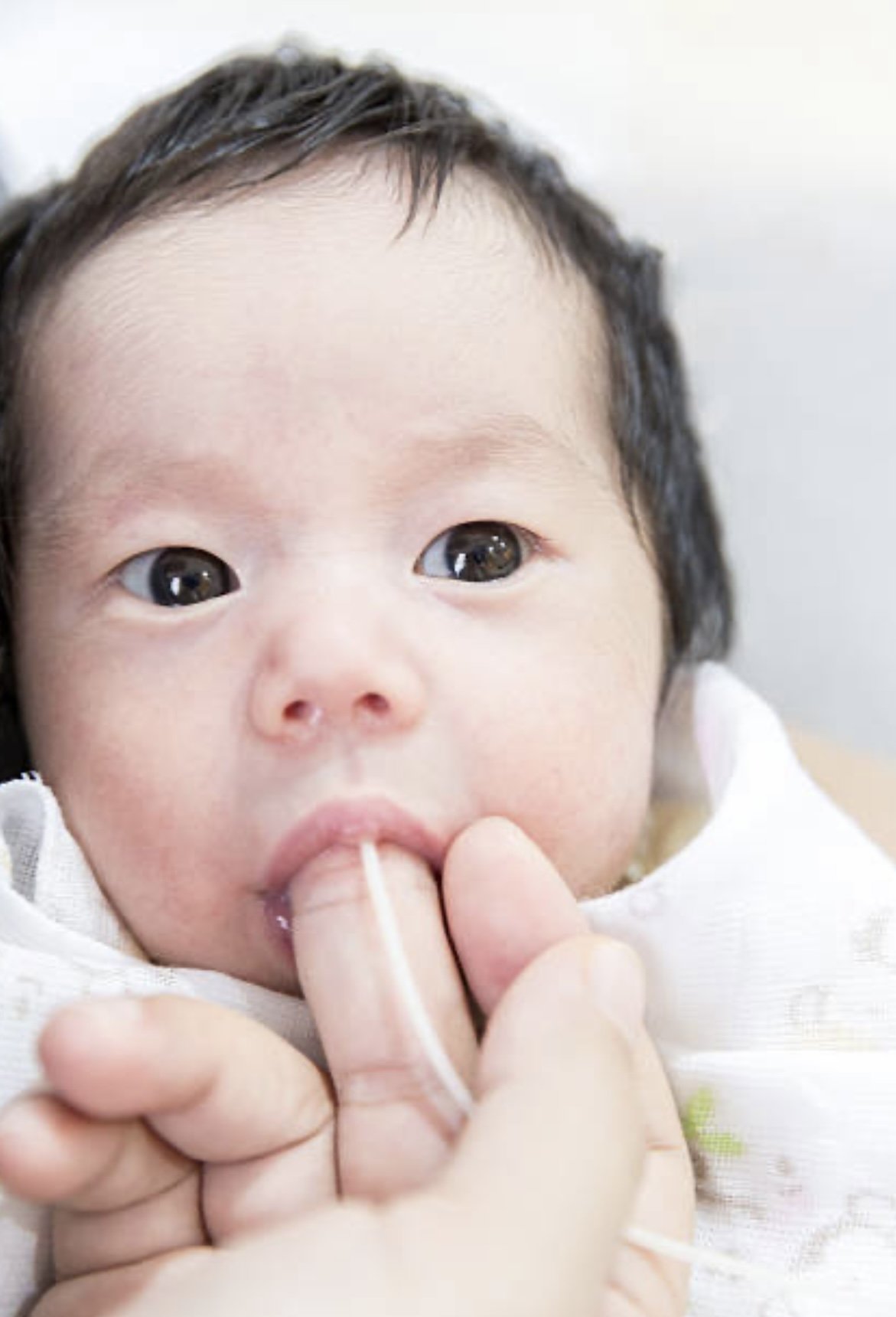 SNS feeding.jpg