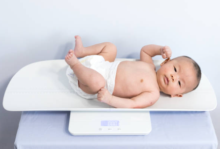 newborn scale.png