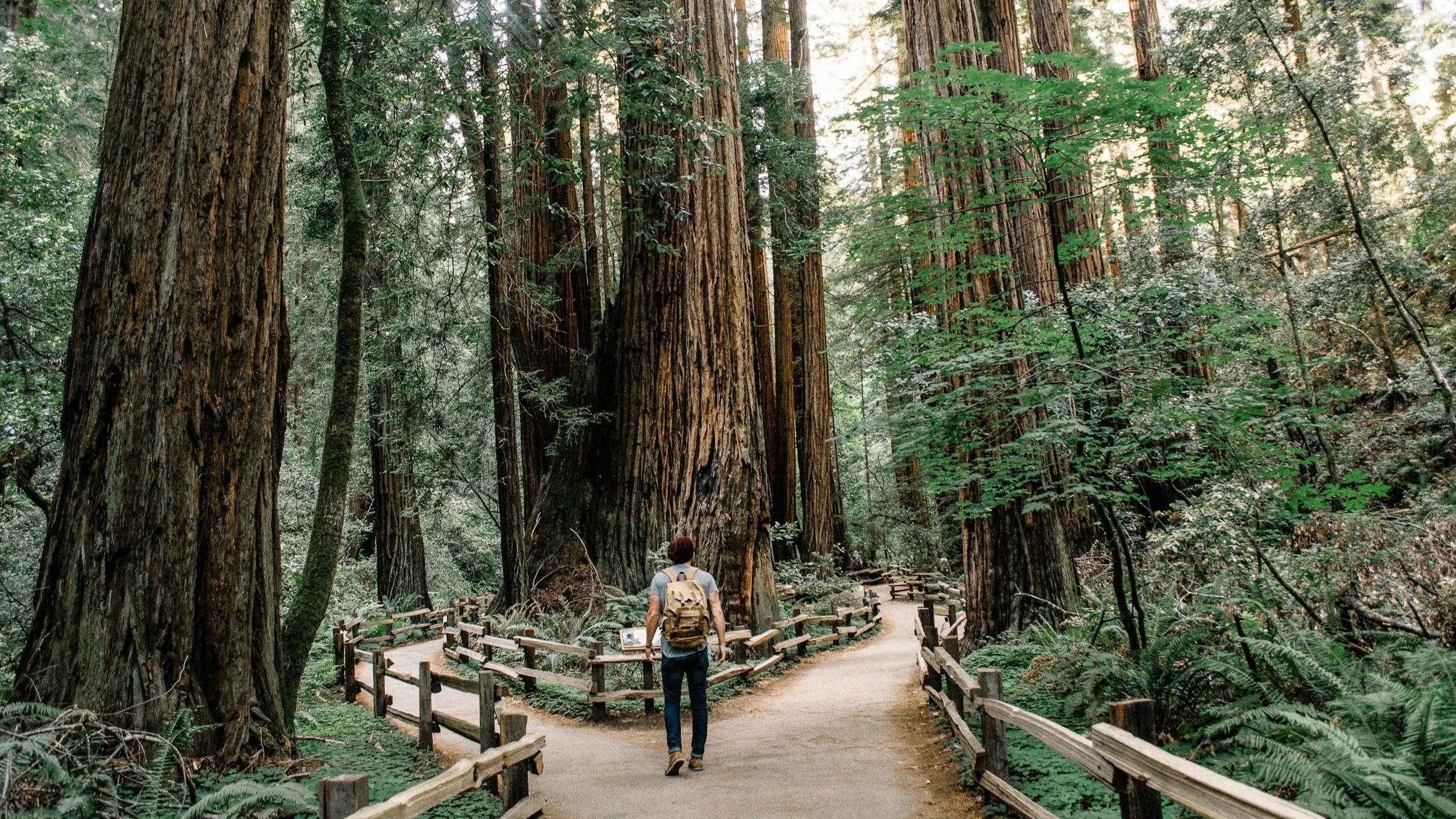 Mindfulness-Based Stress Reduction (MBSR) vs. Mindful Self-Compassion (MSC): What Are the Differences?