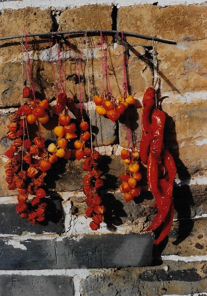 Chilies drying on the wall 2000 .jpg