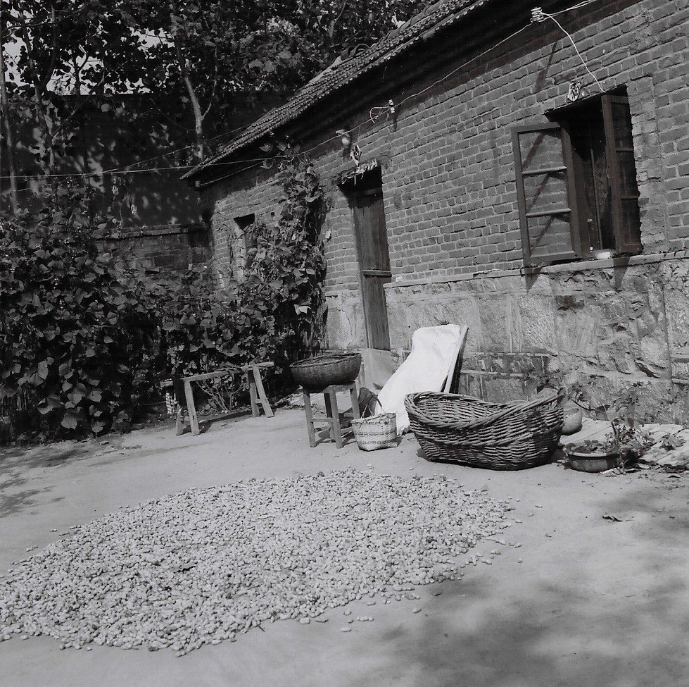 Rural China housing Jiangsu 2001 .jpg