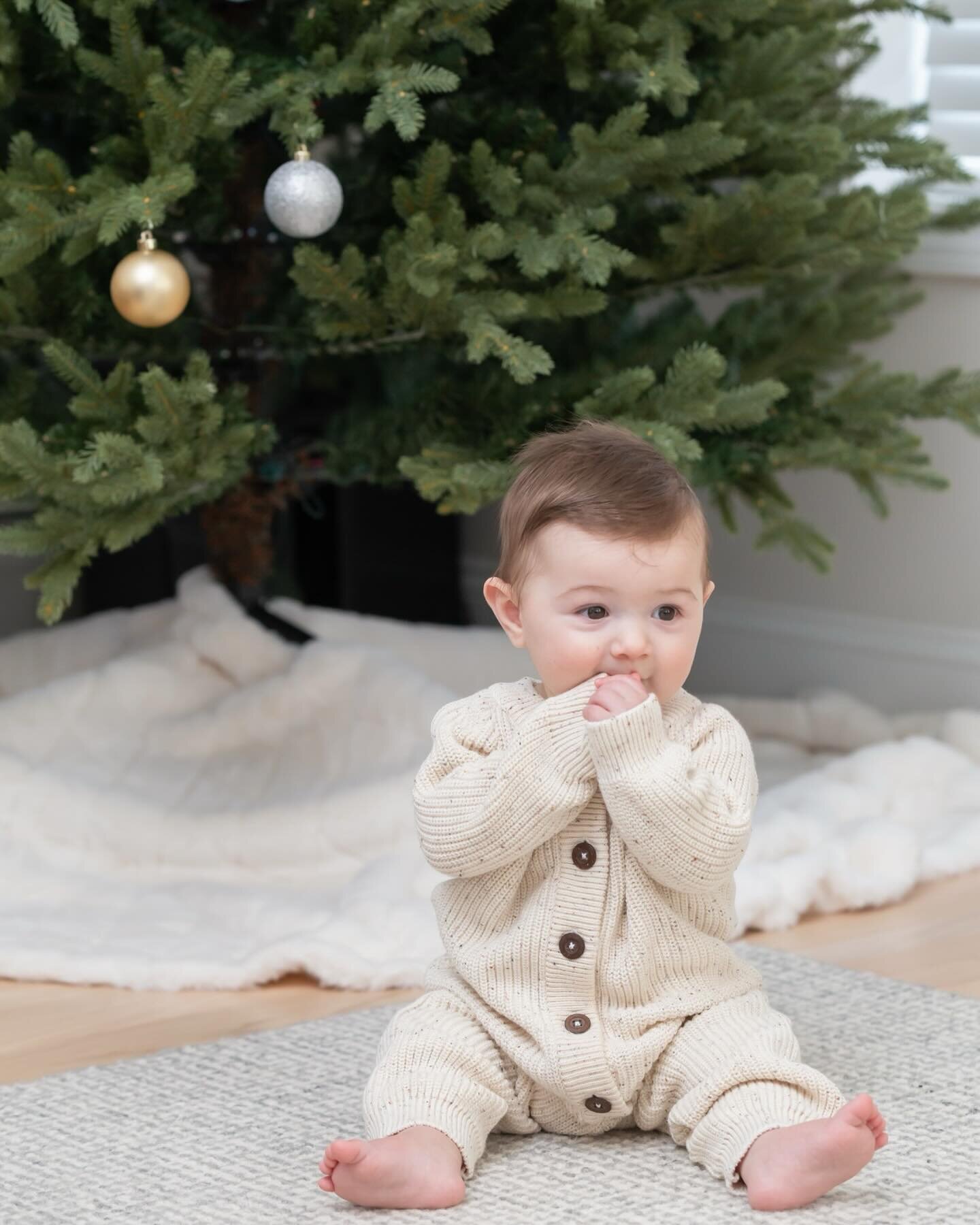 Just the perfect 7 month old, Christmas, outdoor, nursery session! It was really fun to take so many different types of photos in an hour 😀