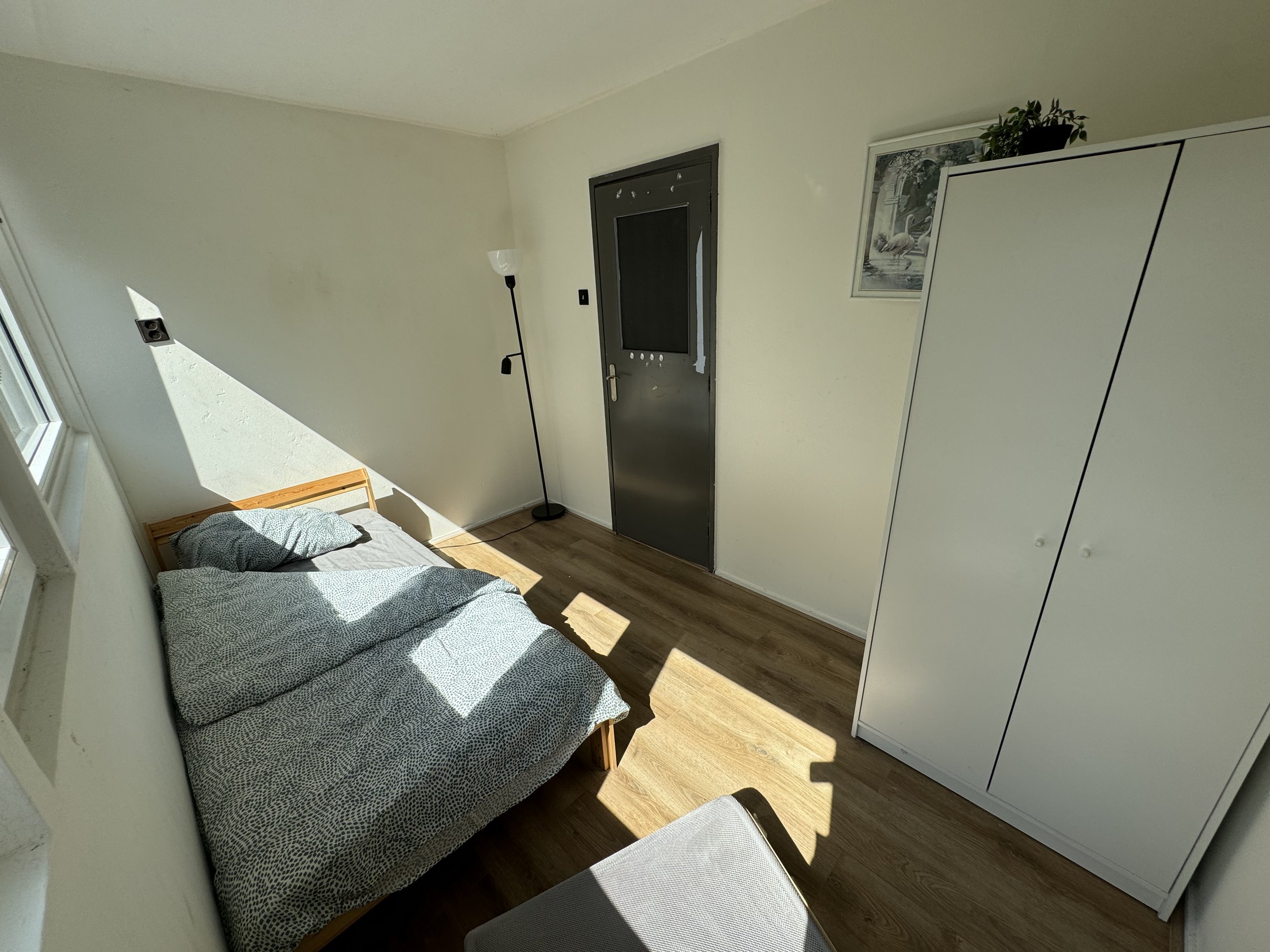 Small bedroom with a single bed, white wardrobe, floor lamp, wooden flooring, and wall art above wardrobe.