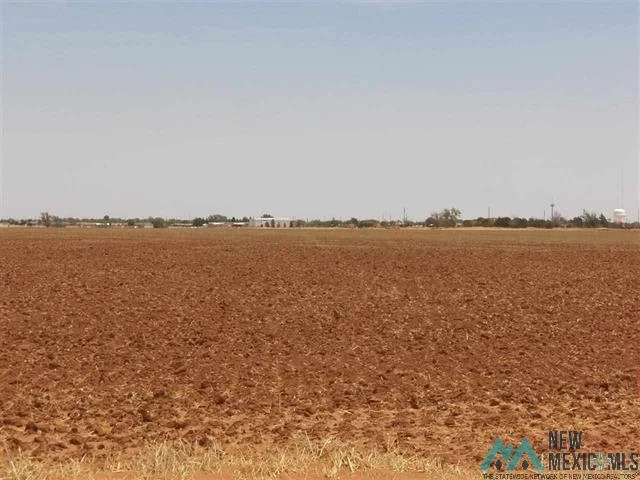 20192542-1.JPG