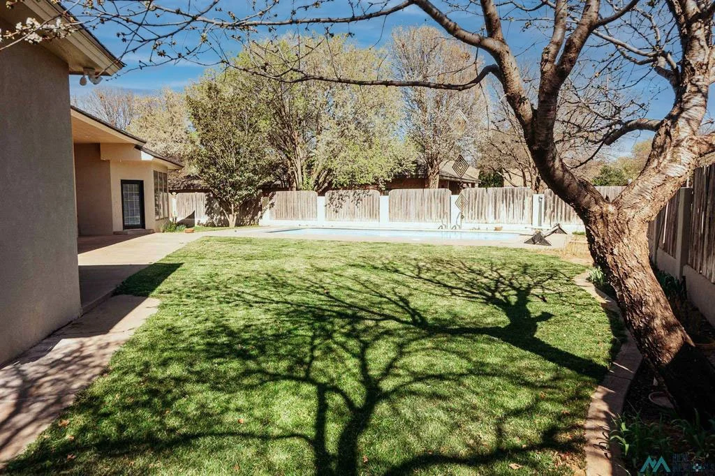 20262407-73e48ea4-e5c1-42b5-b2de-e4bef6a04530 copy.jpg