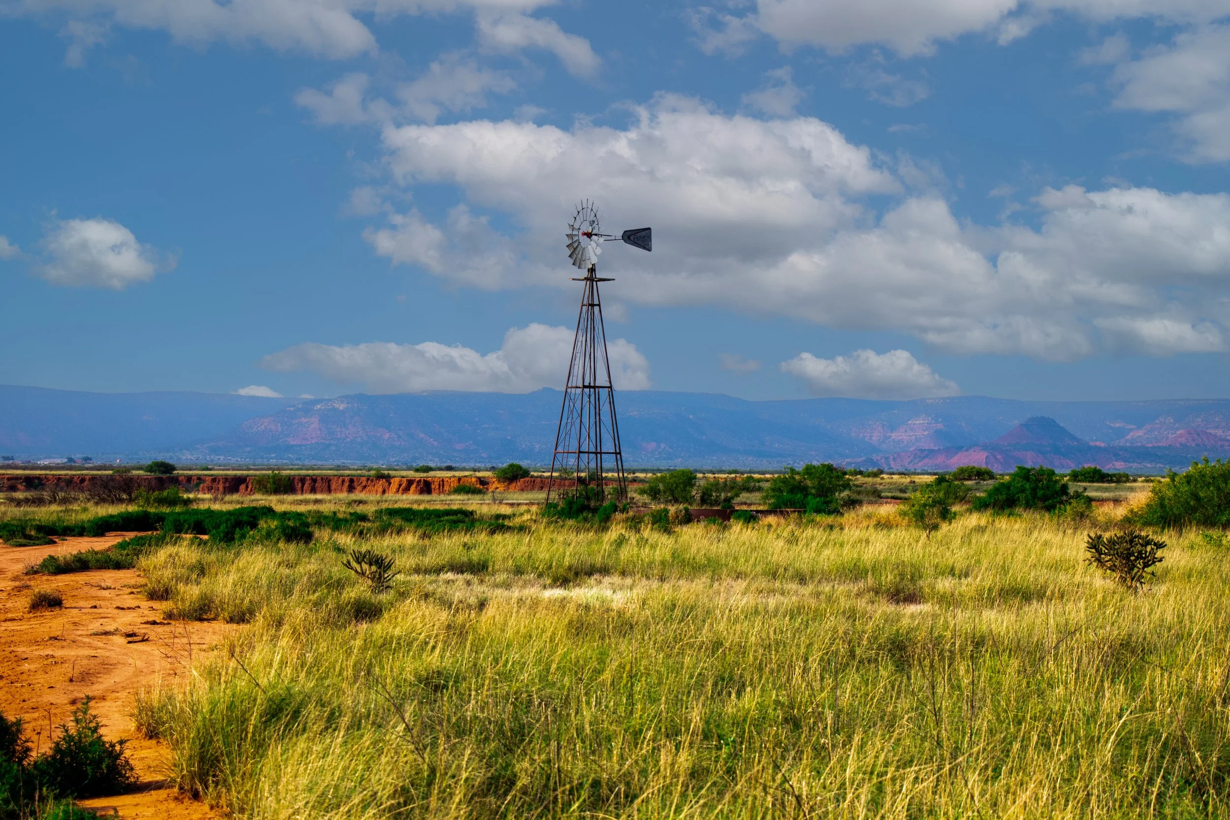 2nd windmill with green grass.jpg
