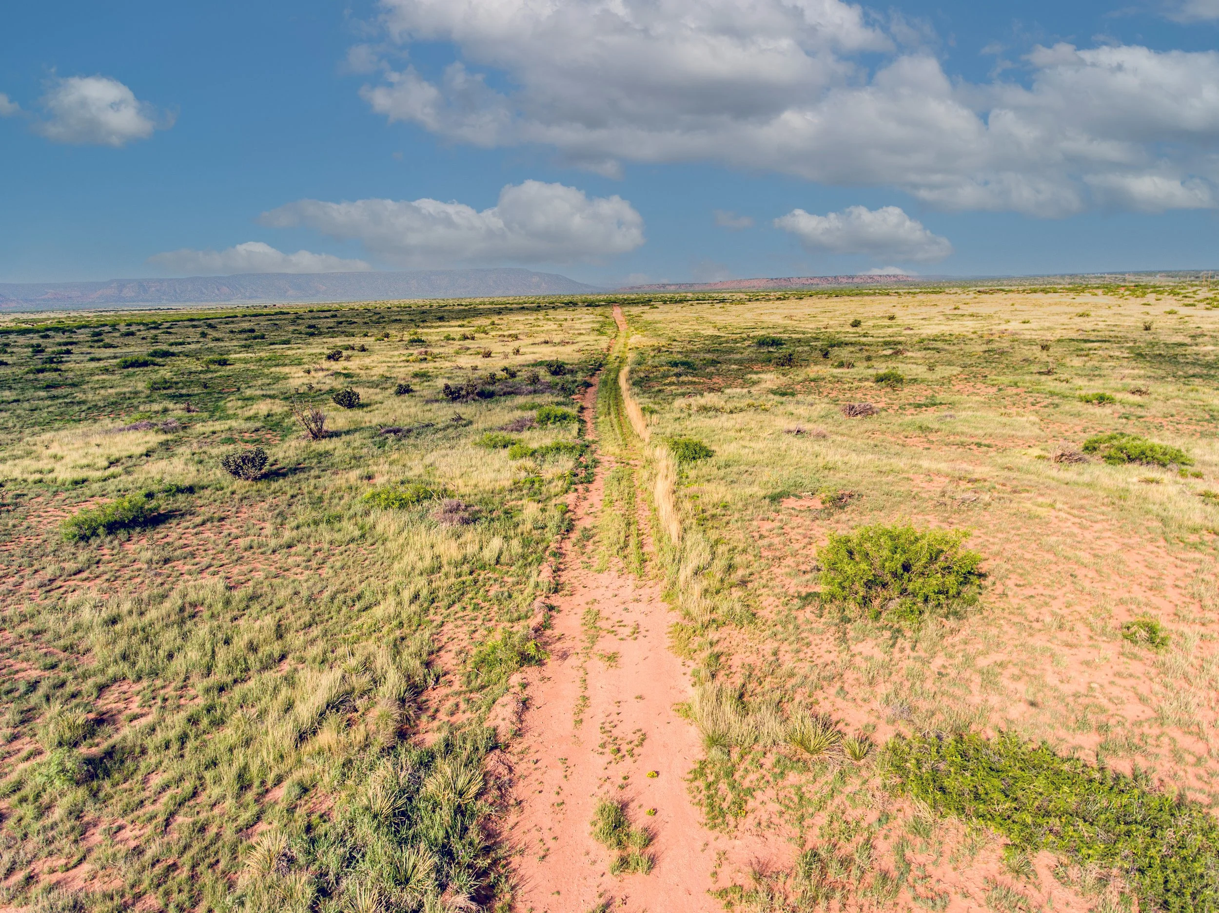 drone 1 grass.jpg
