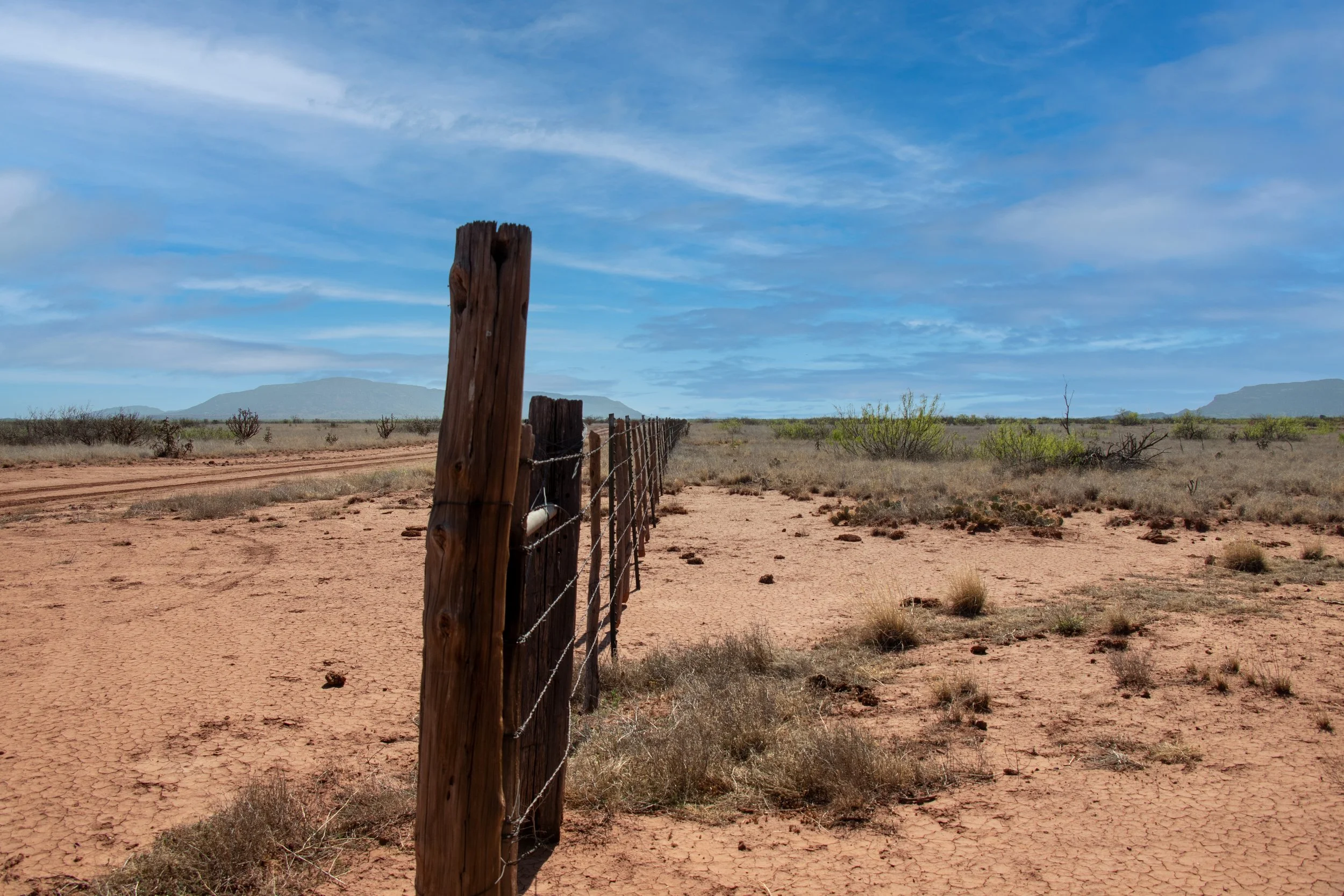 fence 2.jpg