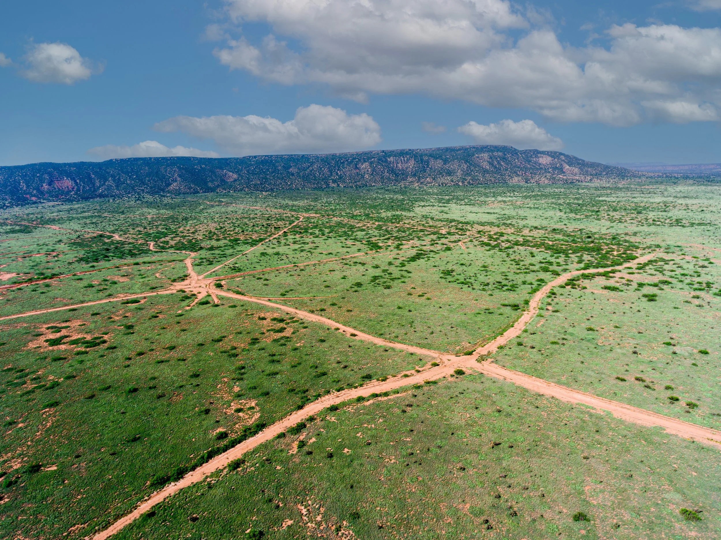 grass with roads 2.jpg
