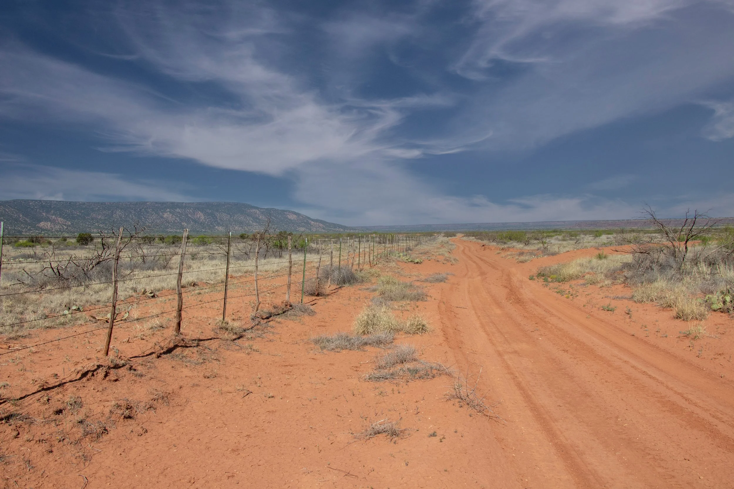 road and fence.jpg