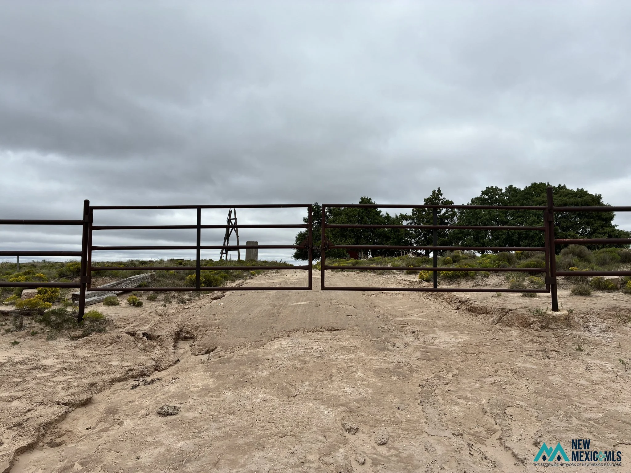 26001676_c9f8bca17e3e68db9f9d7156e24df4f0_6ac40edcb1273.jpg