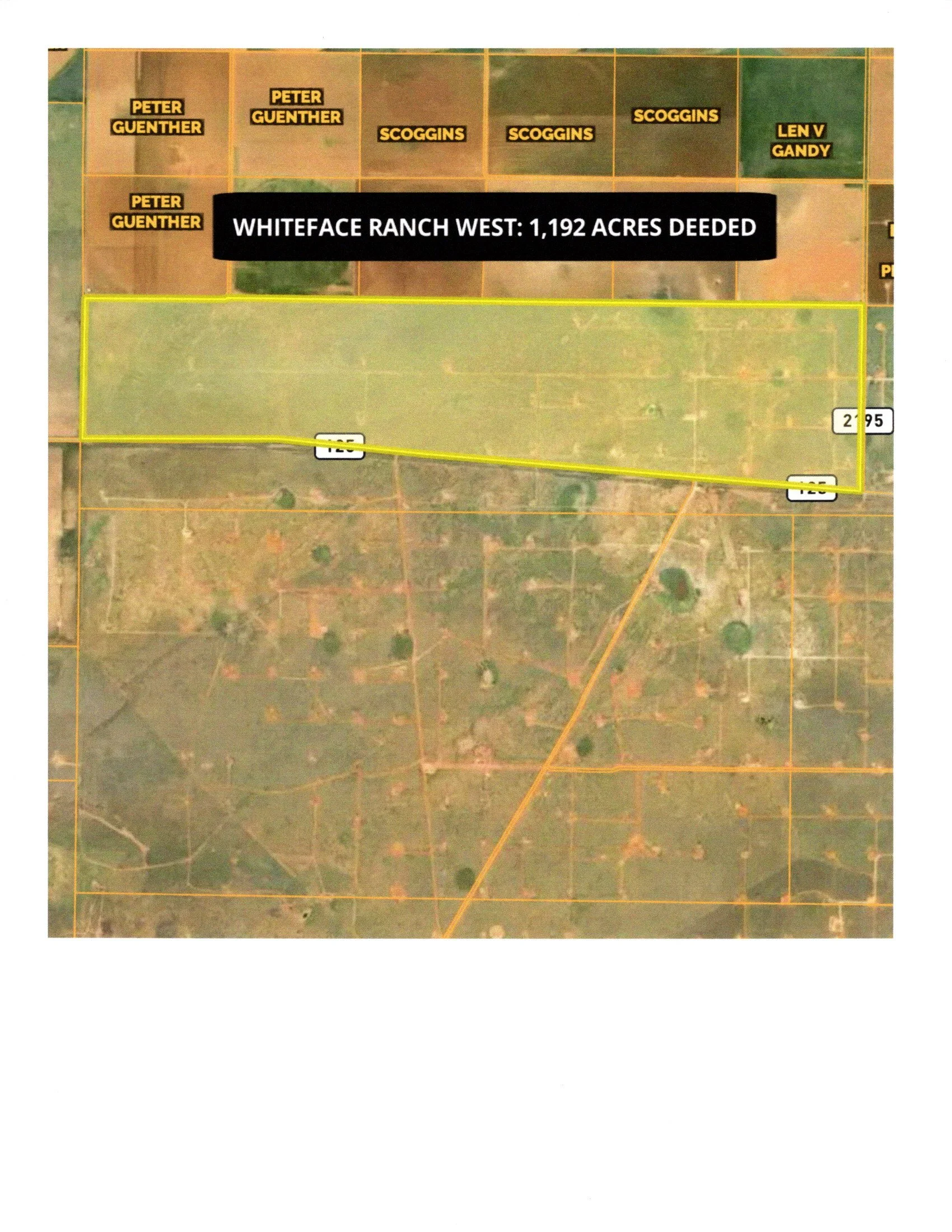 Whiteface, TX Ranch ----$1,788,000 ----This 1,192 deeded acre ranch offers an excellent combination of accessibility, usability and classic West Texas appeal.... 