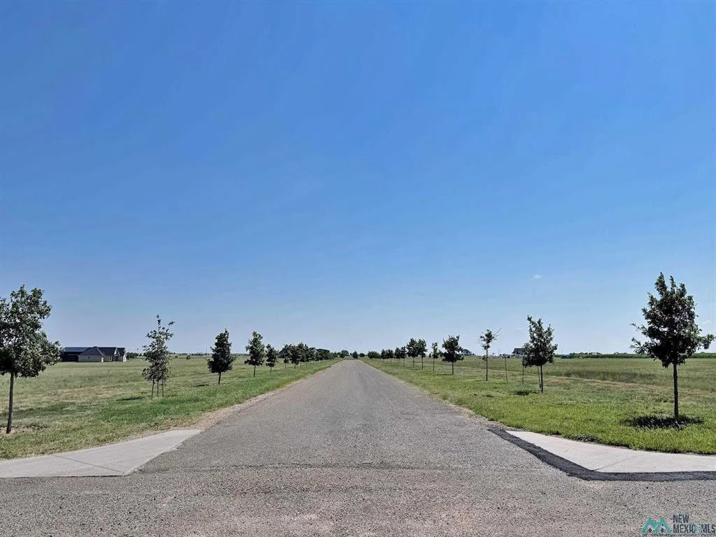 884 North Lakes Drive ---- $85,000 ----Build your dream home on this 3-acre lot in a new subdivision north of Clovis....