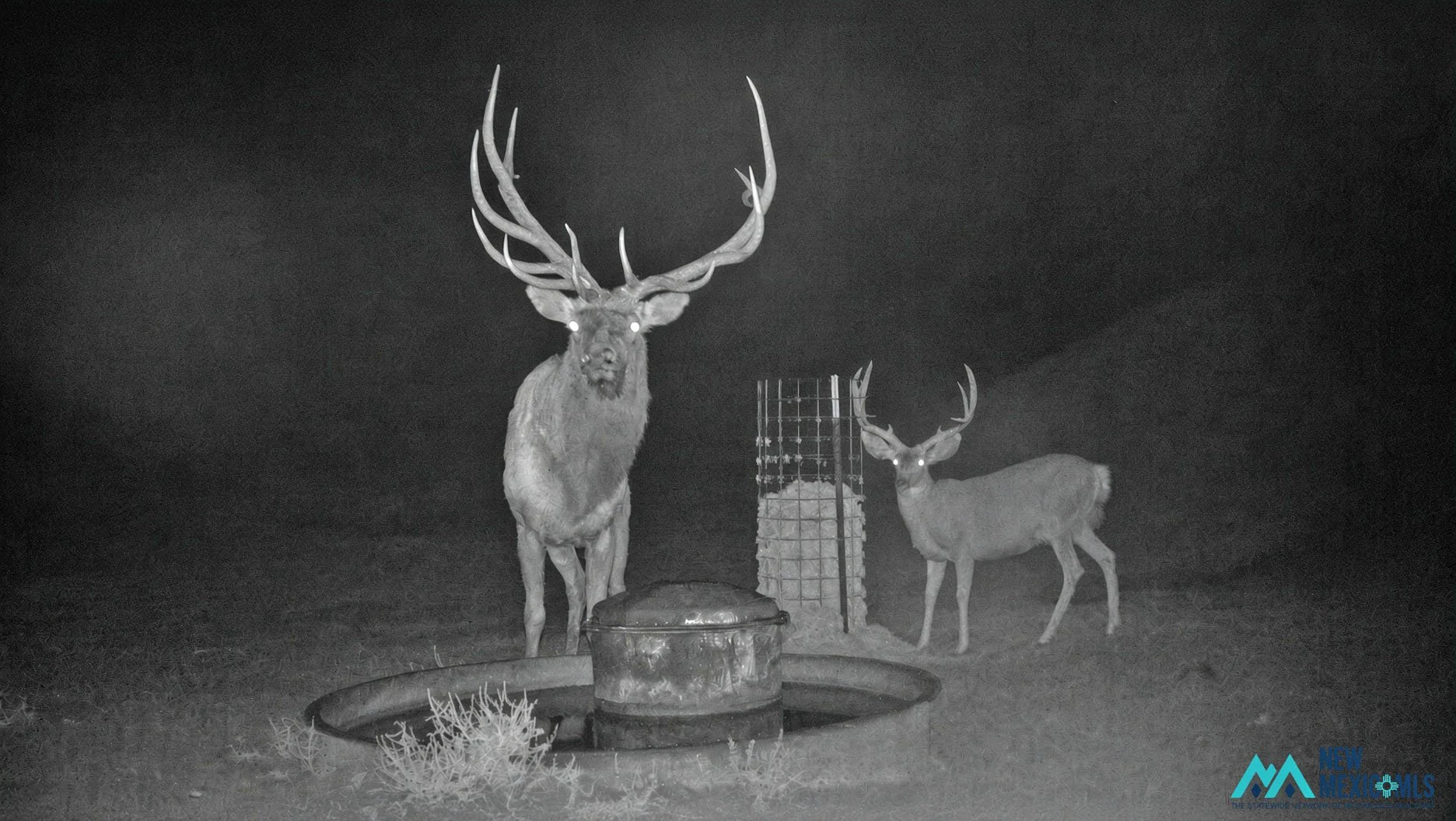 Prime Hunting Ranch in Lindrith, NM ---- $17,700,000 ----Prime Hunting Ranch with +/-8,891 Deeded Acres + 502 BLM Acres