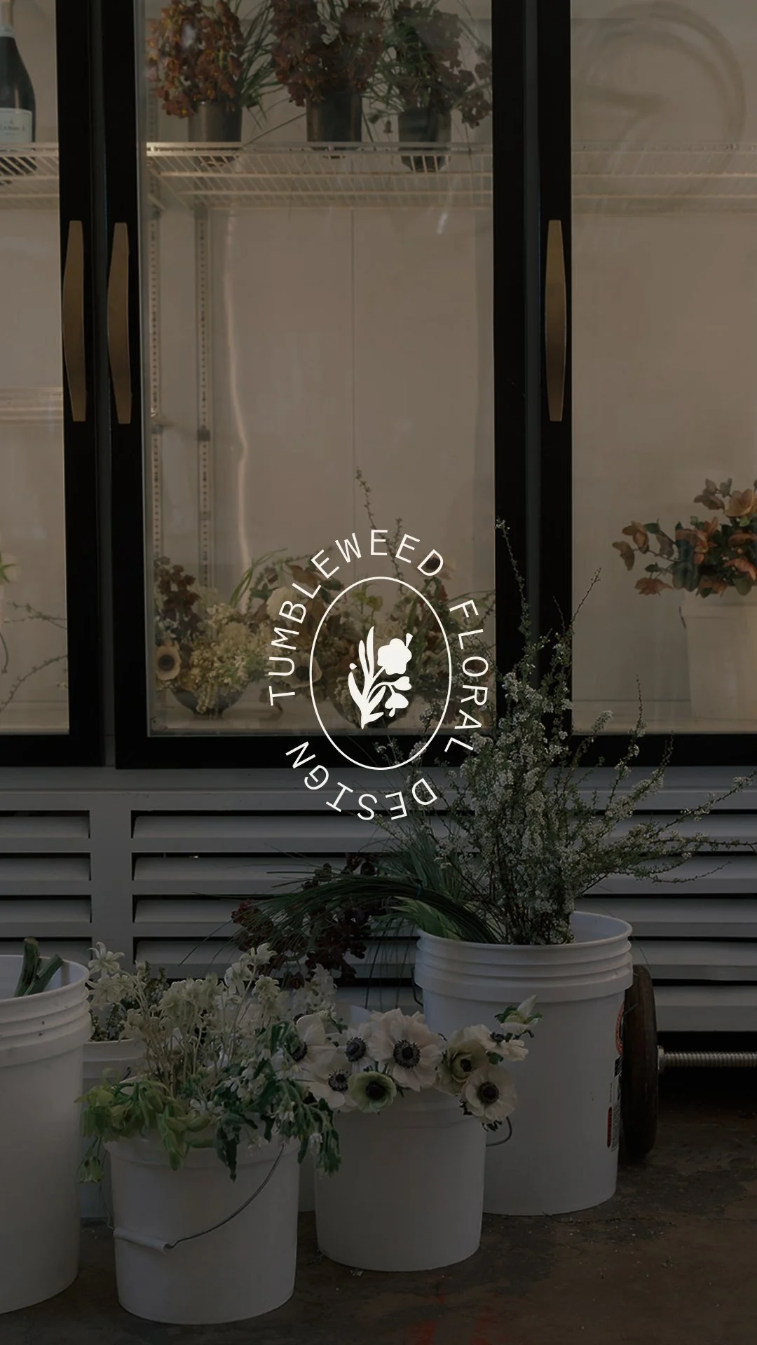 Frame 10.jpg