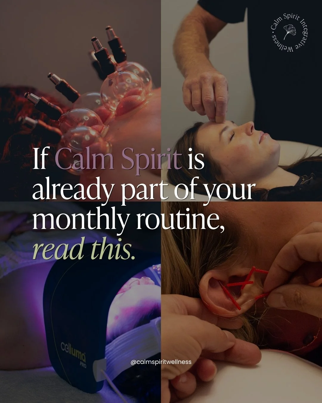 If Calm Spirit is already part of your routine, your membership probably deserves a closer look.

The idea isn't "buy another package."

It's making wellness something that's already built into your month.

Massage one month. Acupuncture an