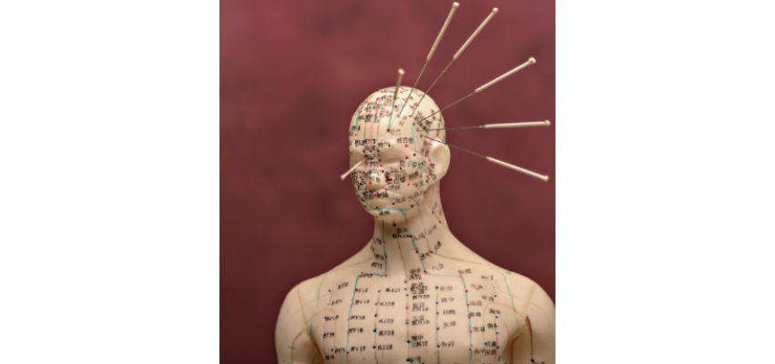 Traditional Chinese Medicine: A Beginner’s Guide to TCM — Calm Spirit ...