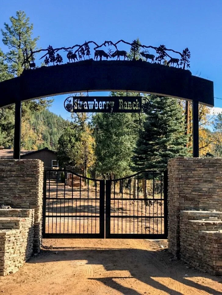 Photo Oct 29 2018, 8 31 20 PM.jpg