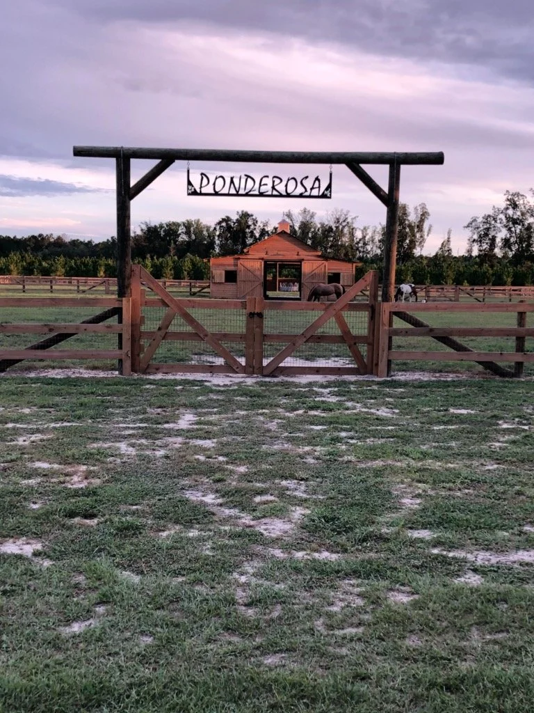 Donna Madray Sign.JPG