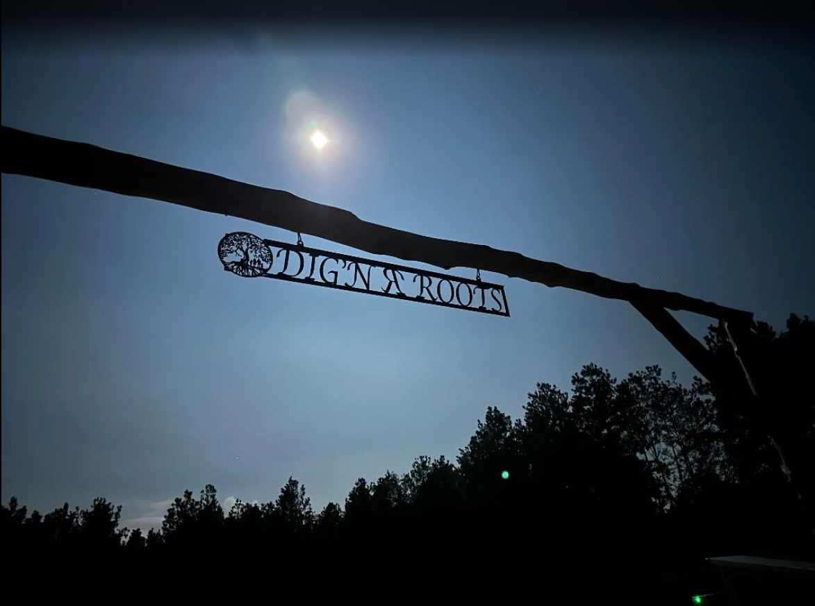 Steven Lindgren_sign2.png