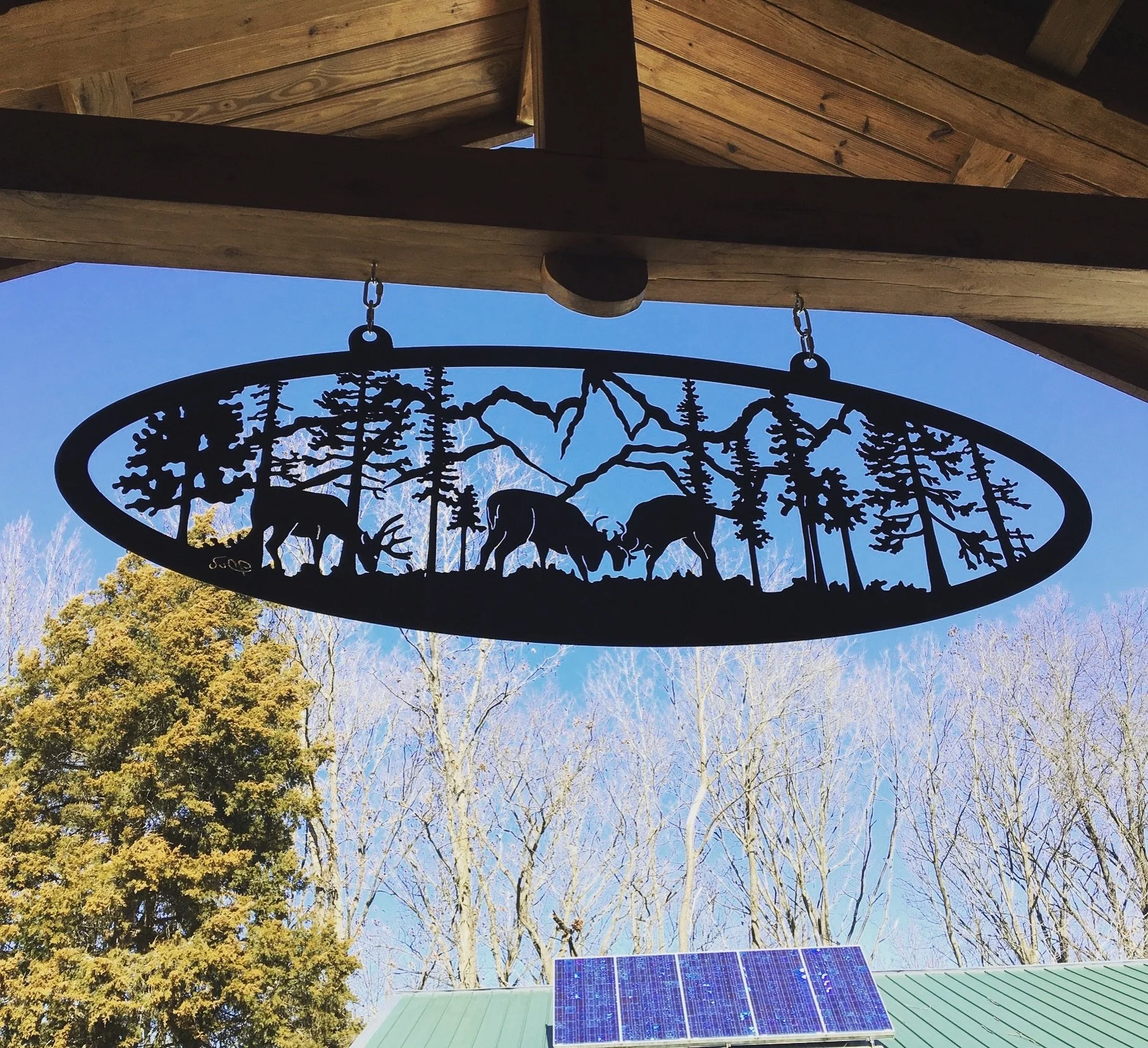 Photo Feb 06 2018, 5 48 56 PM.jpg