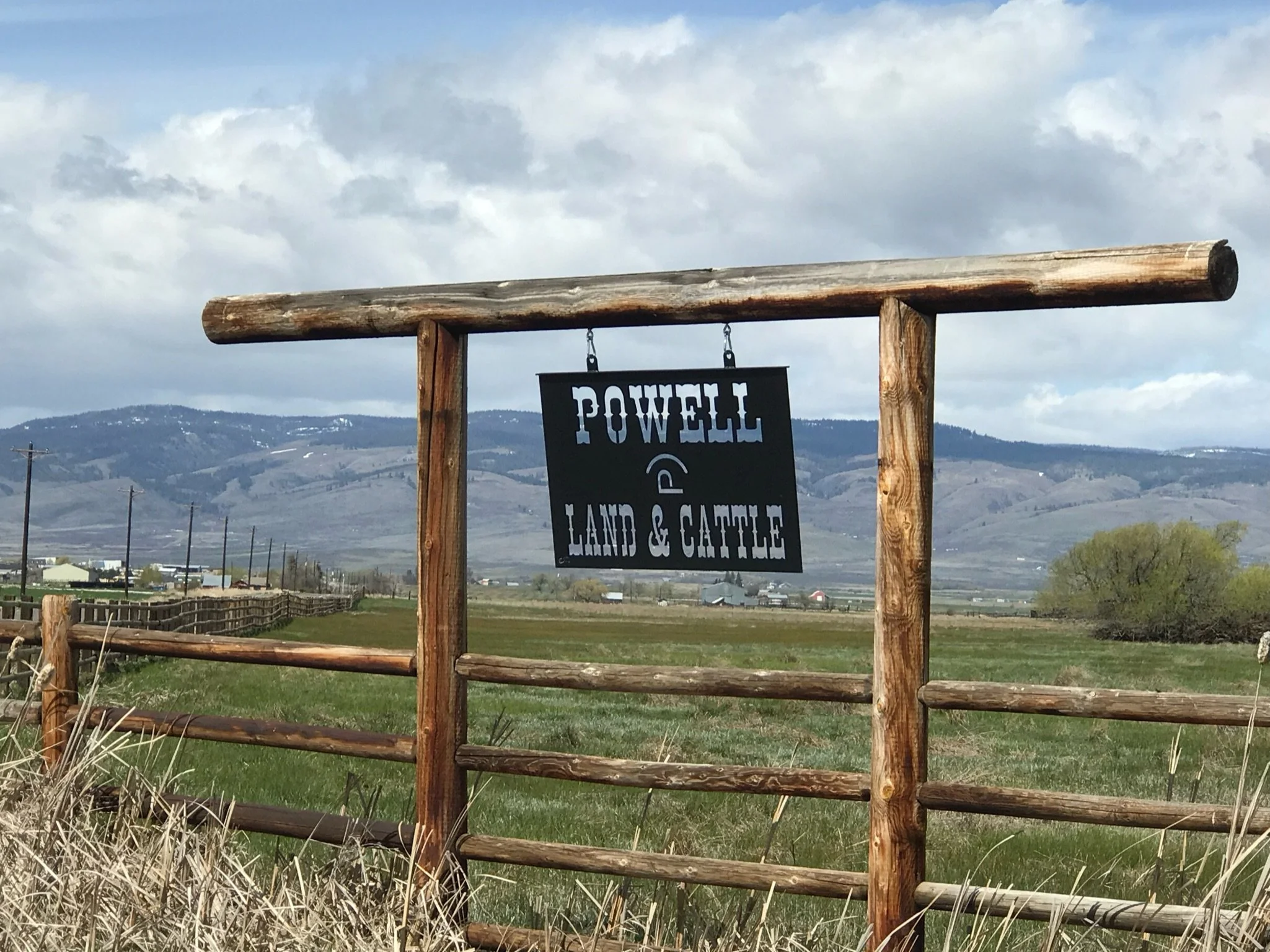 Photo Apr 21 2018, 2 43 58 PM (1).jpg