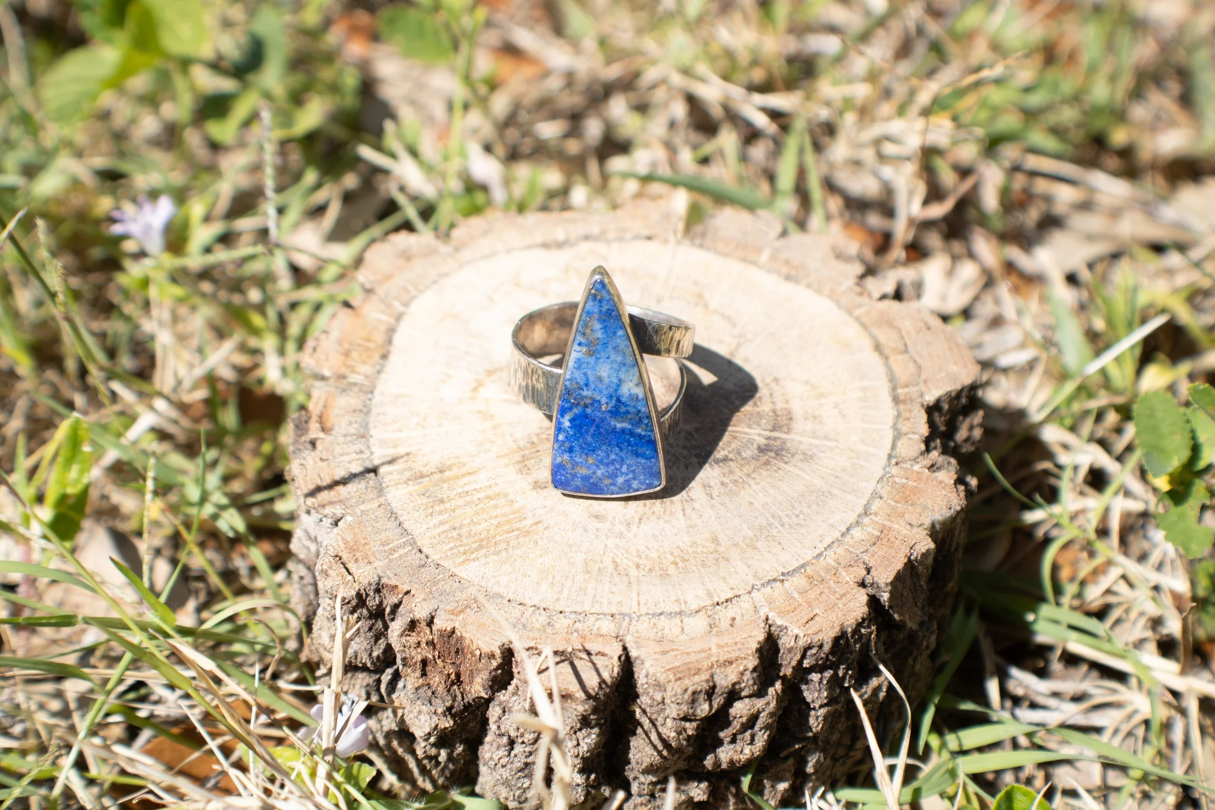 Ring01_02.jpg