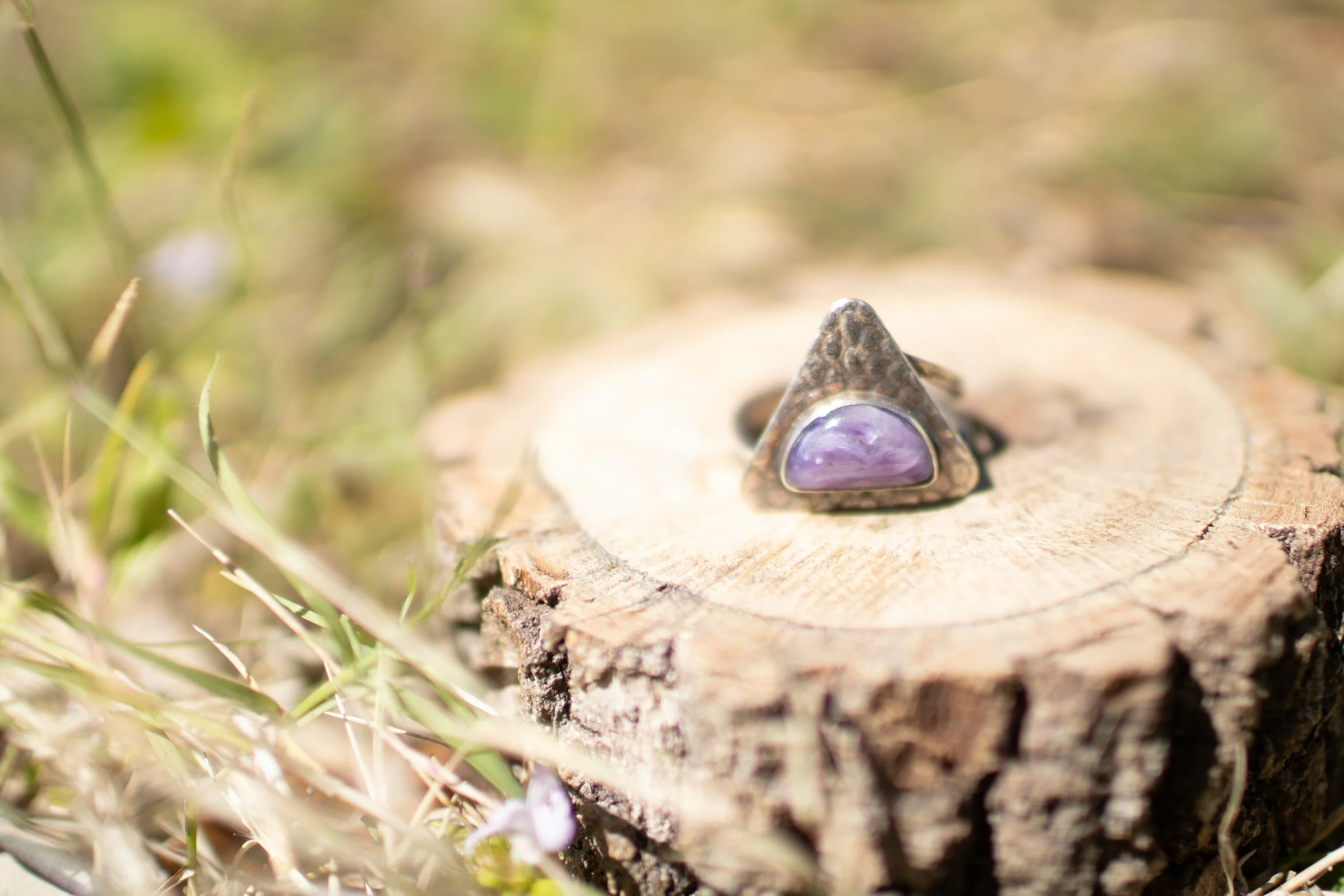 Ring04_01.jpg