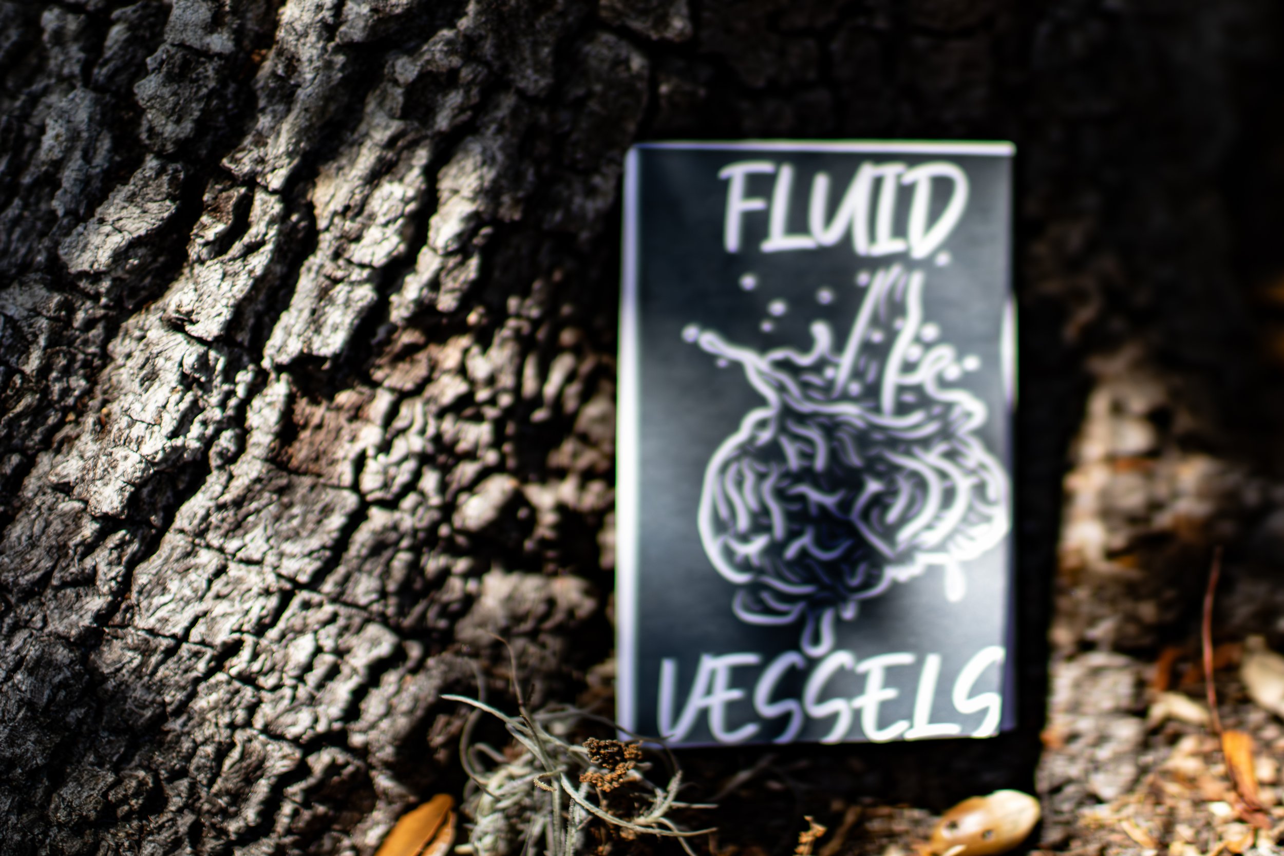 "Fluid Vessels" Zine