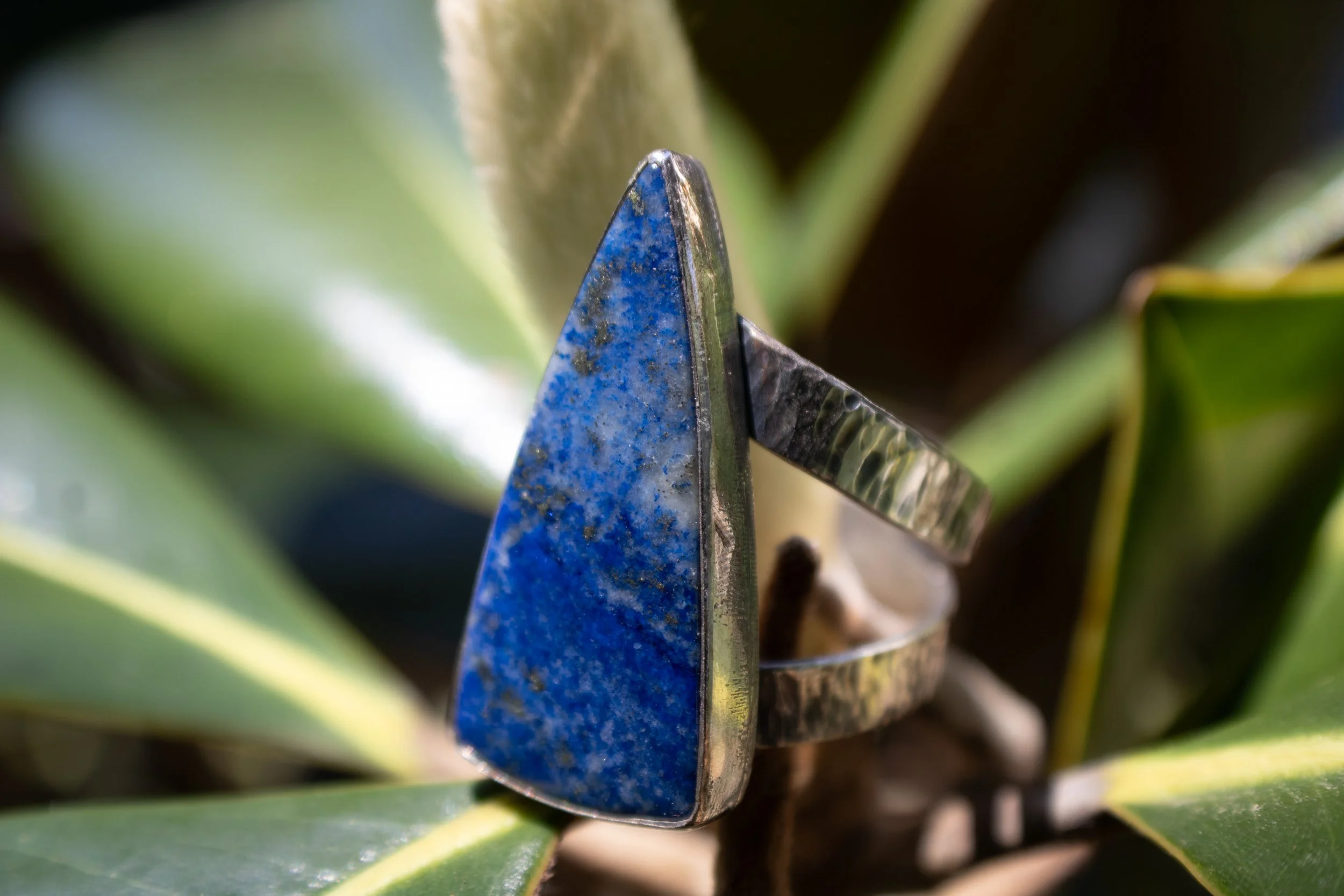 Ring01_01.jpg