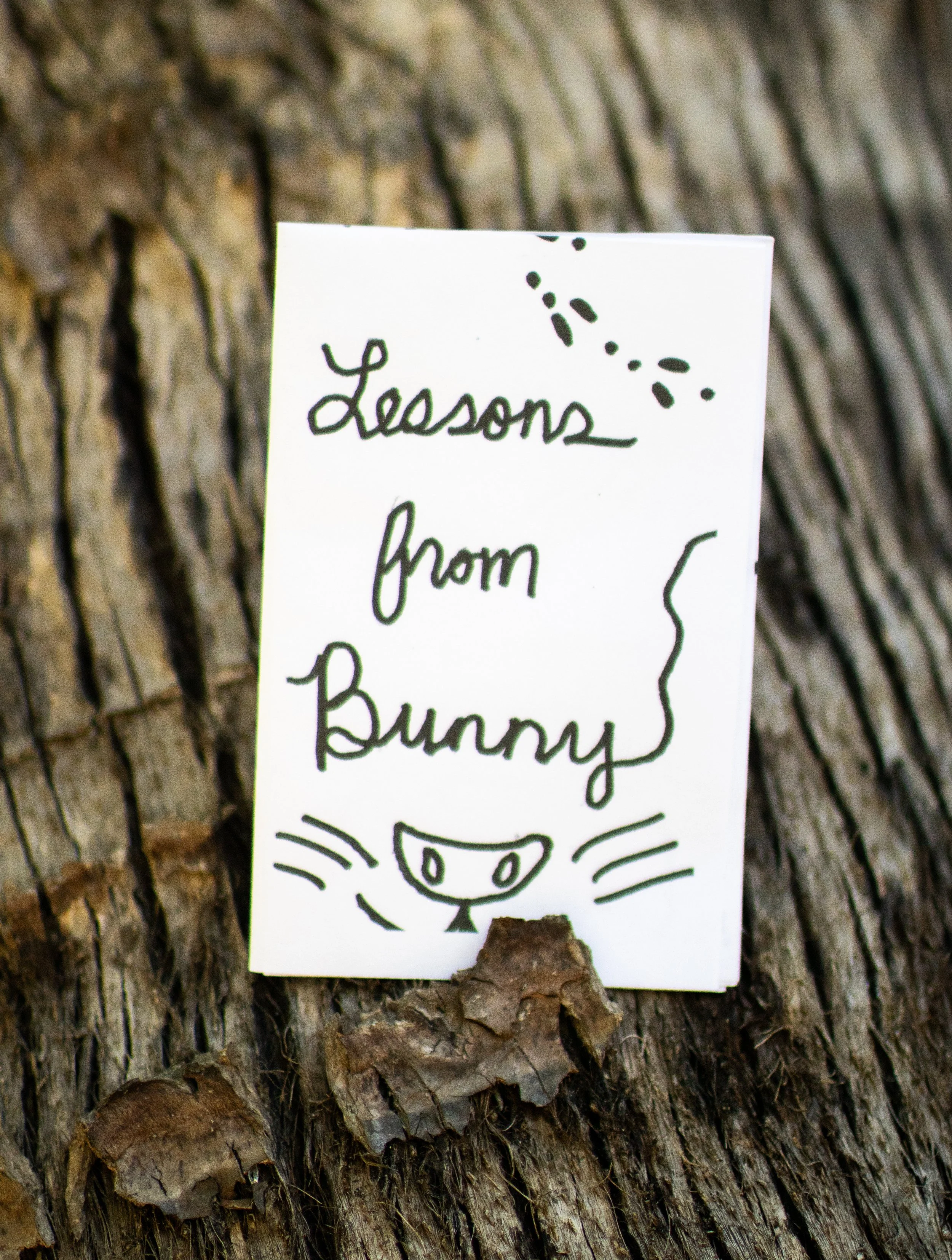 "Lessons from Bunny" Zine