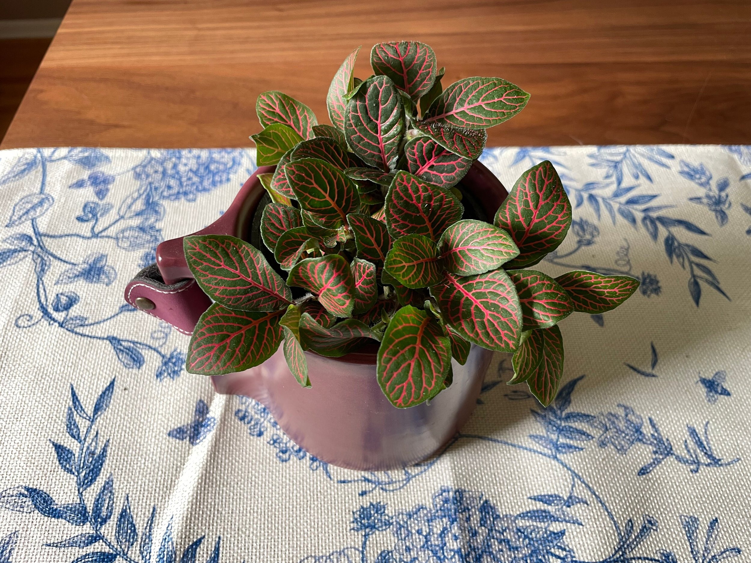 https://i.etsystatic.com/44685489/r/il/90c342/6245909130/il_fullxfull.6245909130_ntlt.jpg