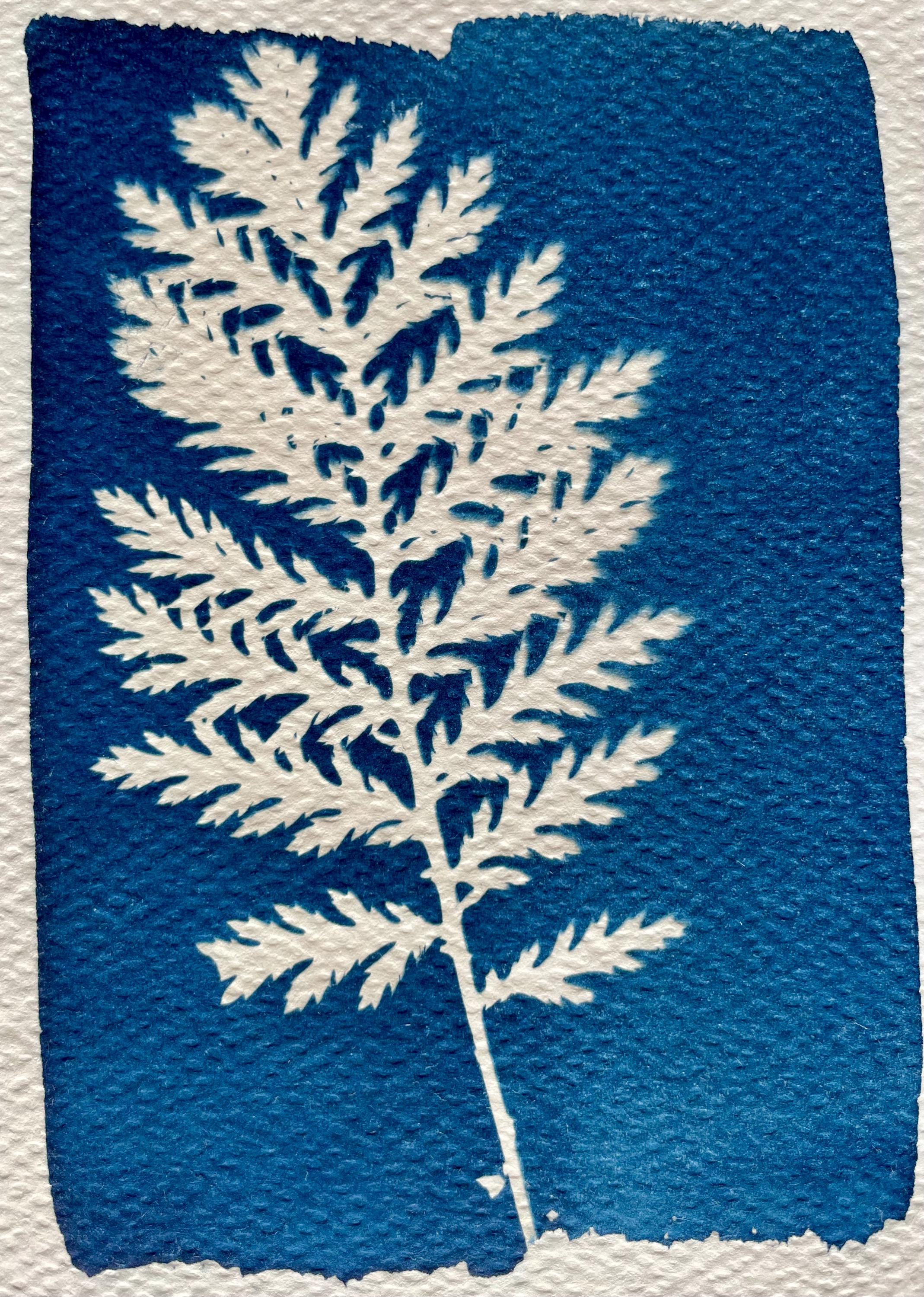 https://i.etsystatic.com/44685489/r/il/542455/6616233685/il_fullxfull.6616233685_qbnt.jpg