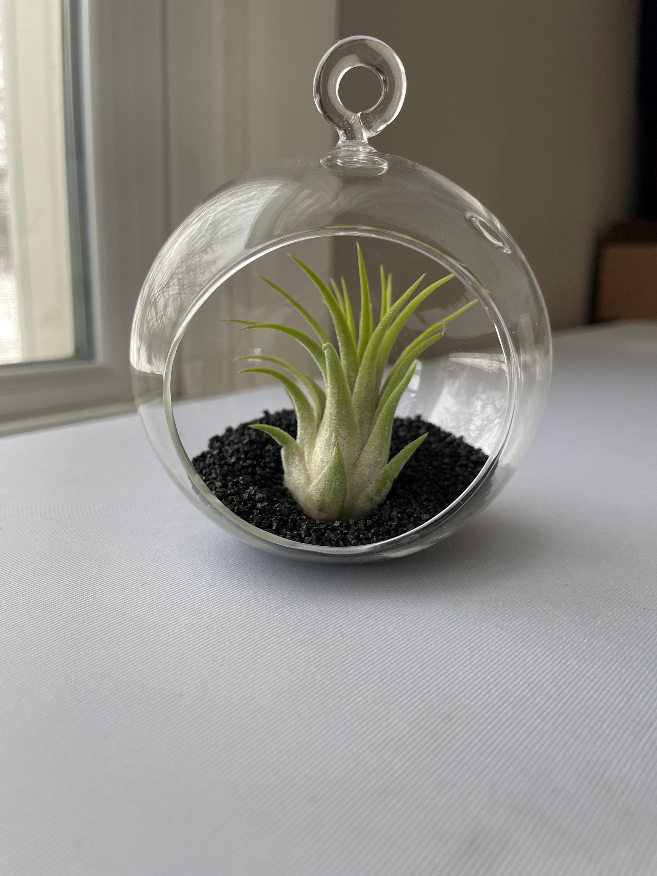 https://i.etsystatic.com/44685489/r/il/5026c9/6646072728/il_fullxfull.6646072728_hv29.jpg