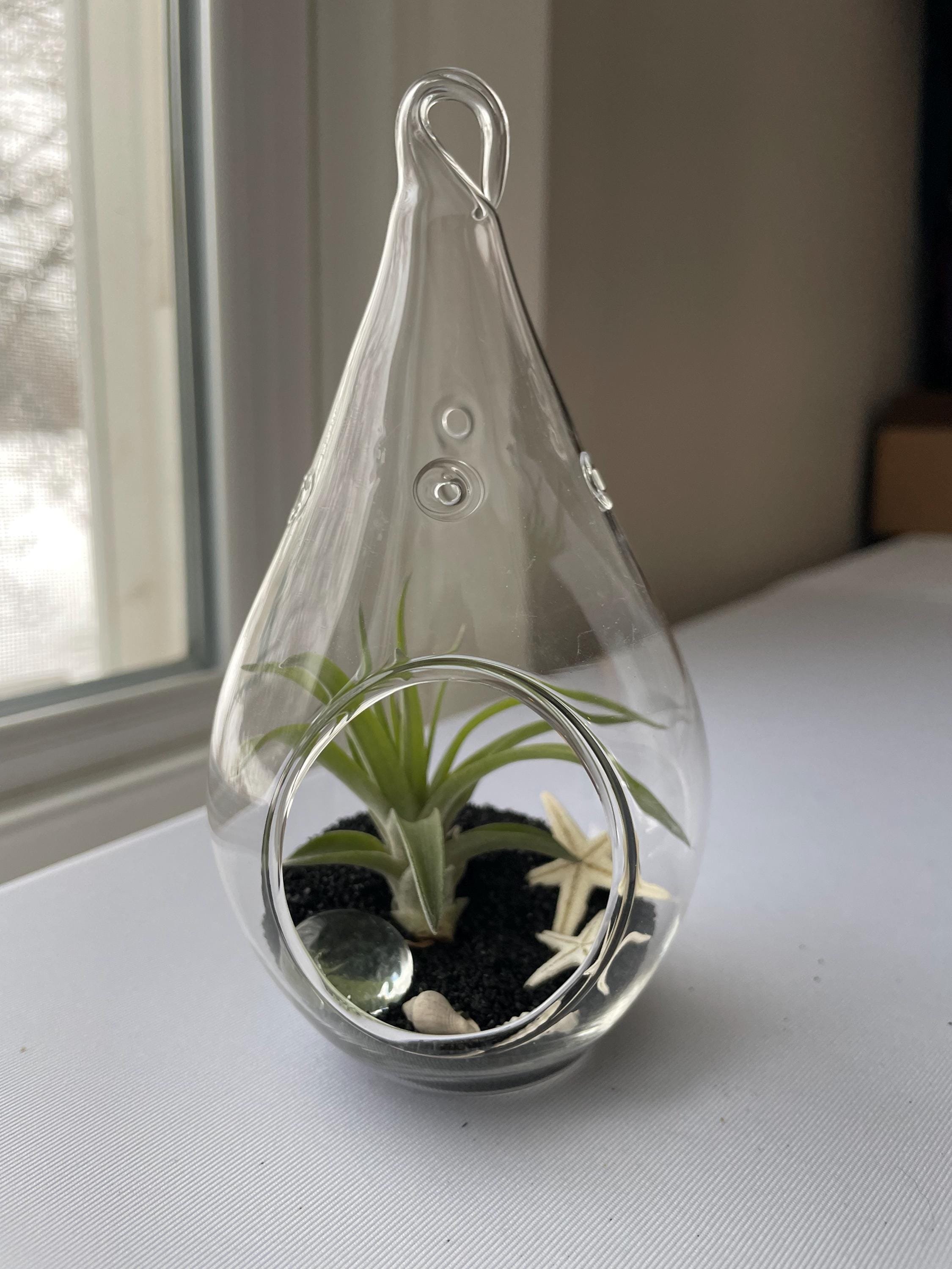 https://i.etsystatic.com/44685489/r/il/def2e7/6694115337/il_fullxfull.6694115337_1kbr.jpg