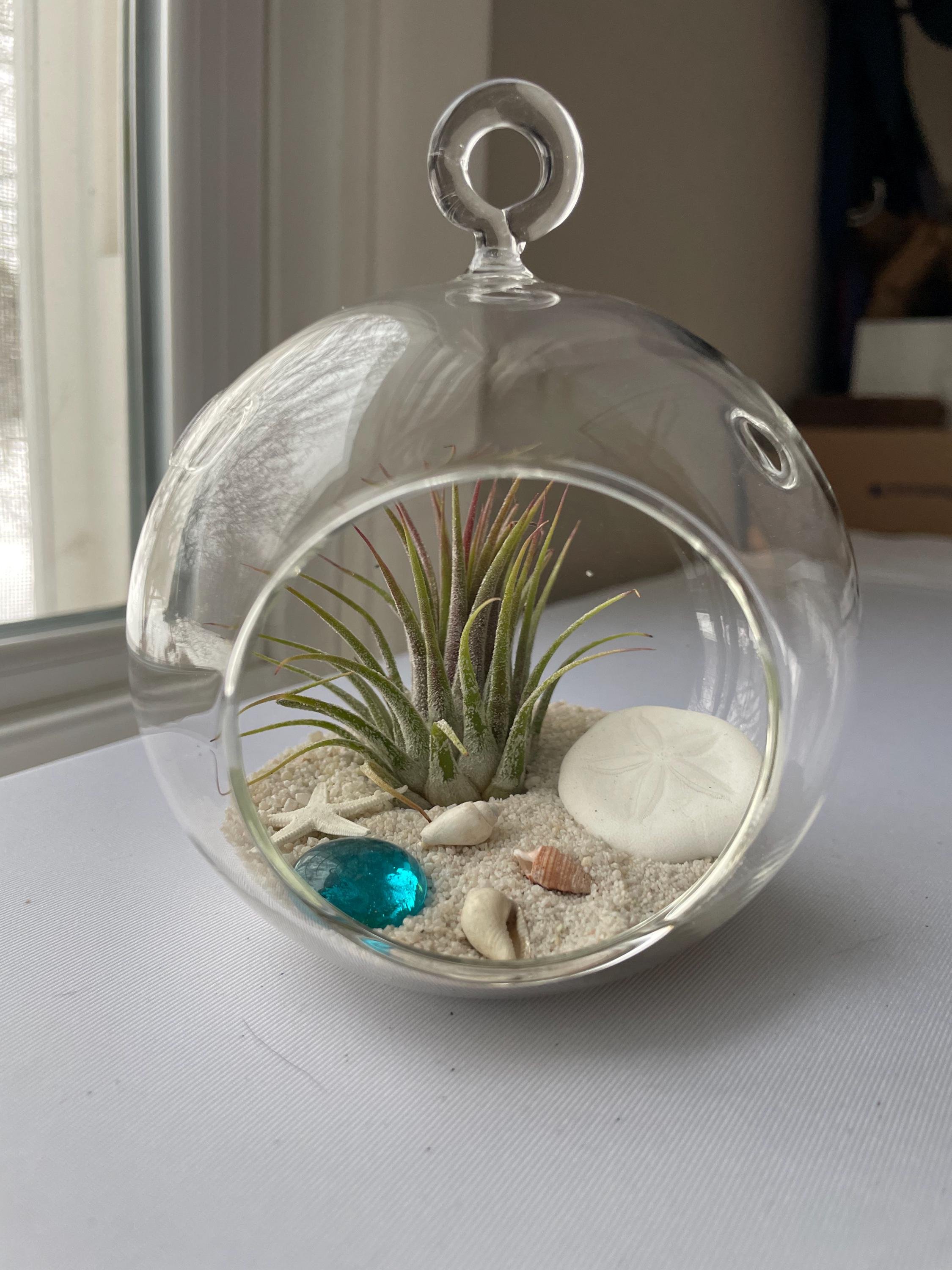 https://i.etsystatic.com/44685489/r/il/5a3a7a/6646072774/il_fullxfull.6646072774_qroh.jpg