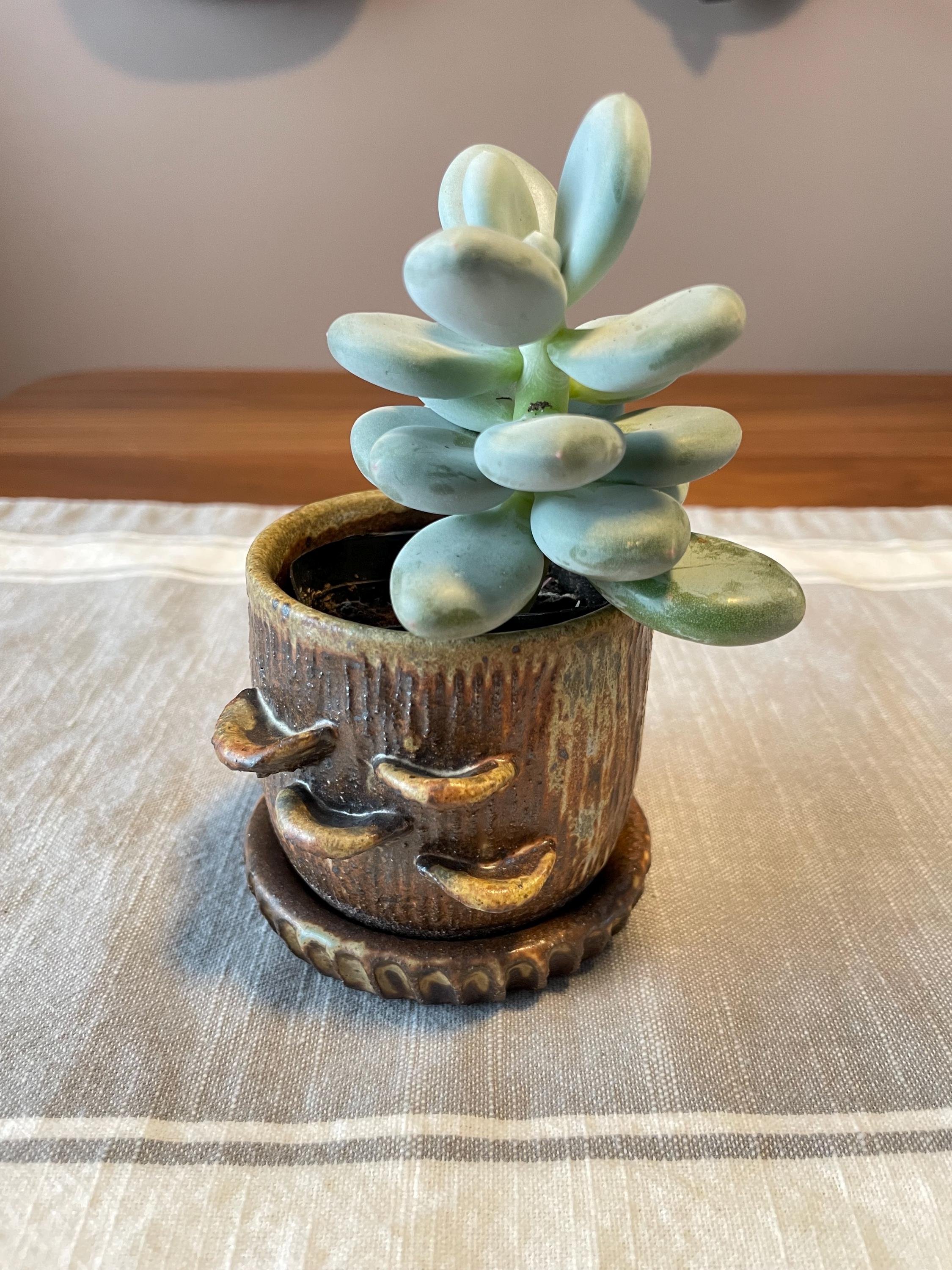 https://i.etsystatic.com/44685489/r/il/fddf10/6453768264/il_fullxfull.6453768264_7mqj.jpg