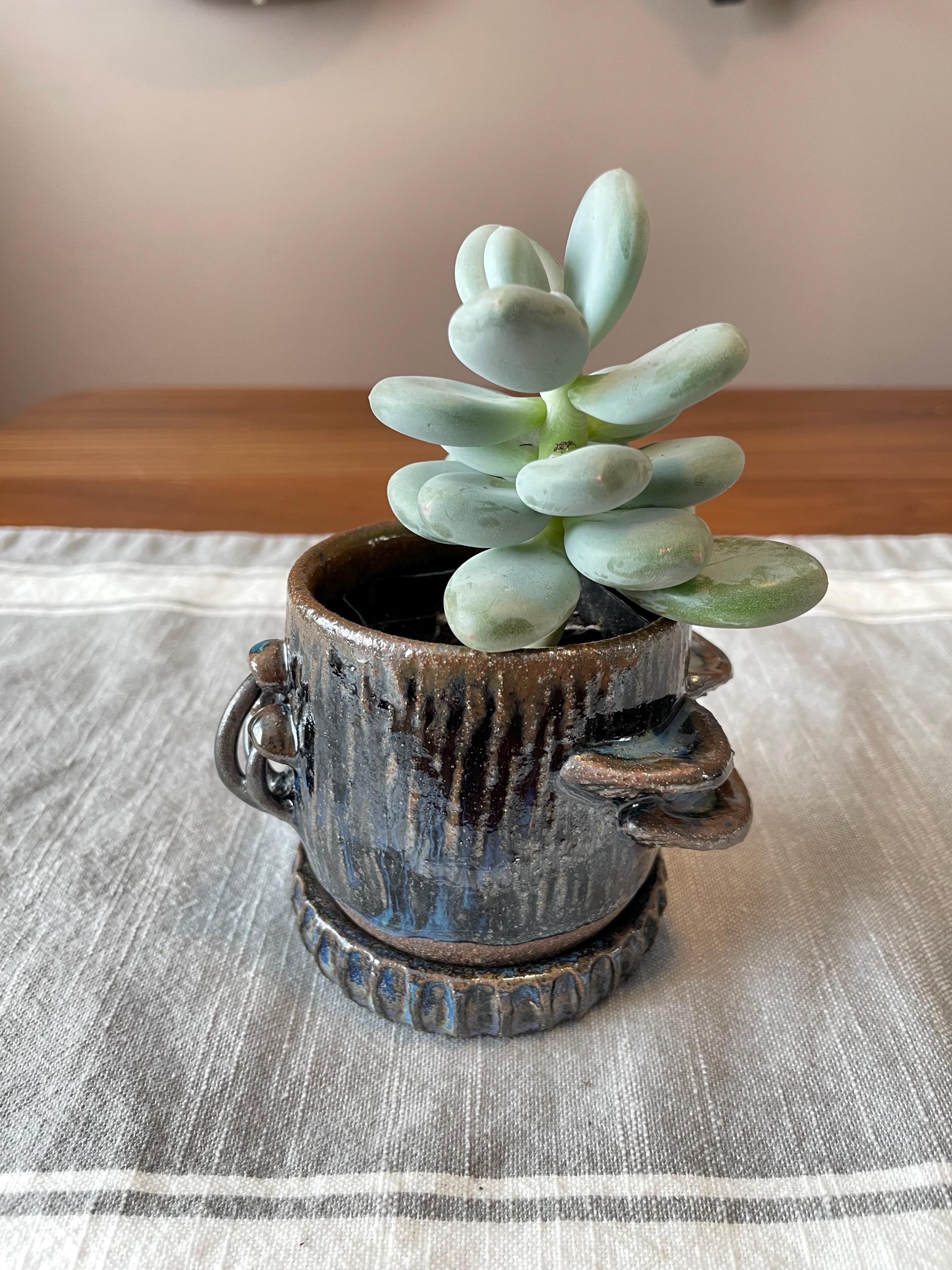 https://i.etsystatic.com/44685489/r/il/f8633a/6453767532/il_fullxfull.6453767532_r20v.jpg