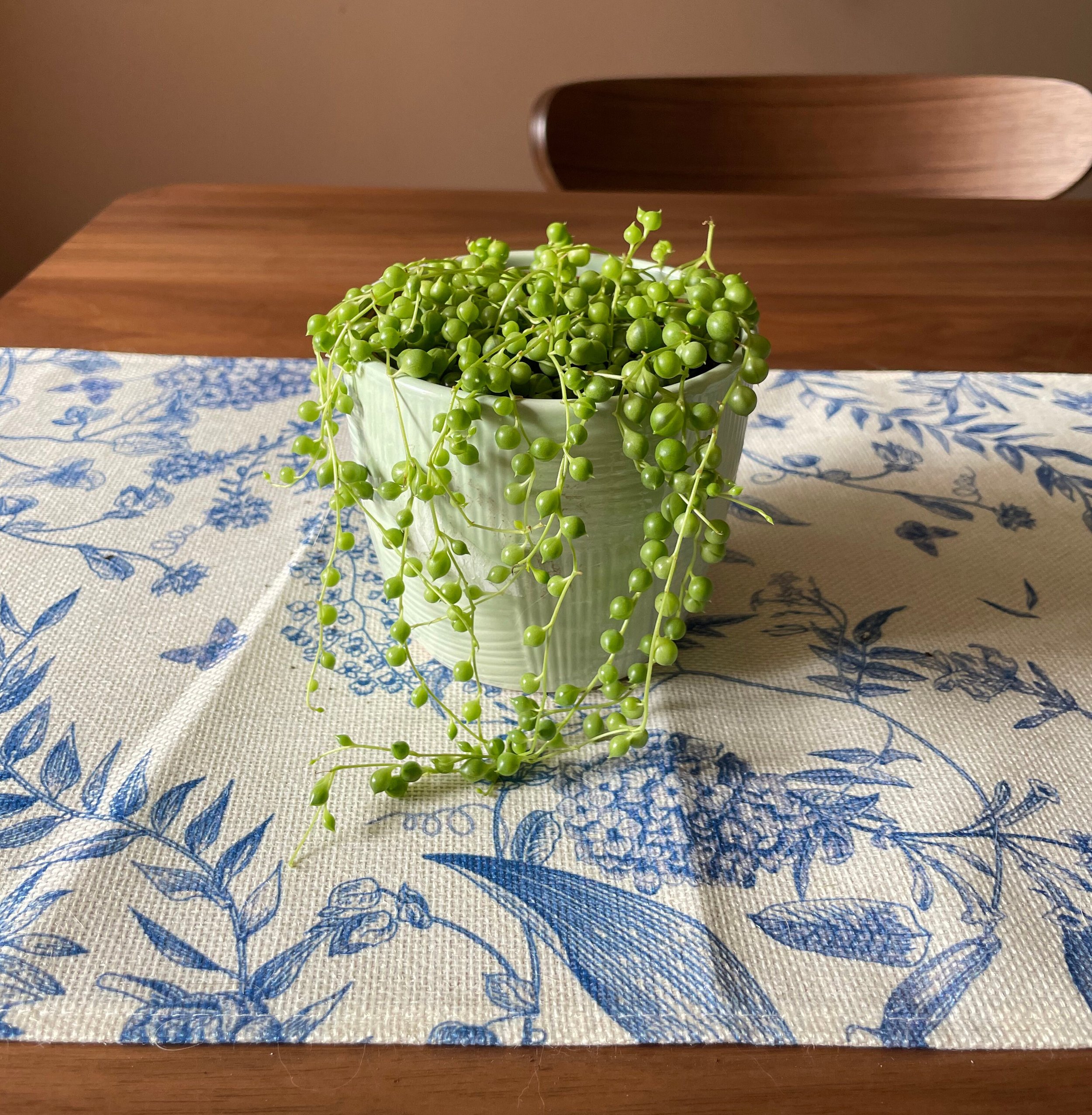 https://i.etsystatic.com/44685489/r/il/6a66f9/6245895512/il_fullxfull.6245895512_i60g.jpg