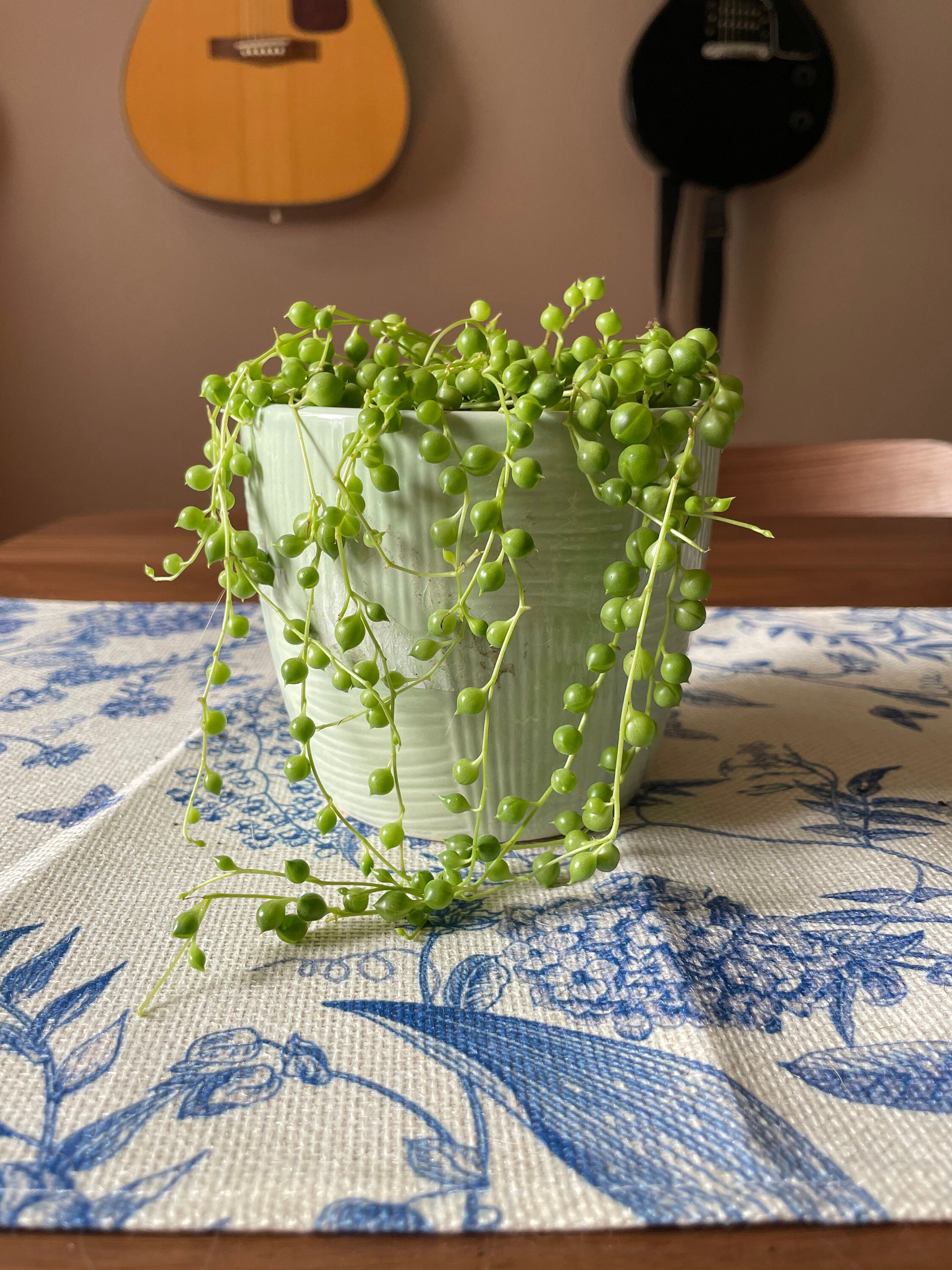 https://i.etsystatic.com/44685489/r/il/920eea/6245895514/il_fullxfull.6245895514_olwr.jpg
